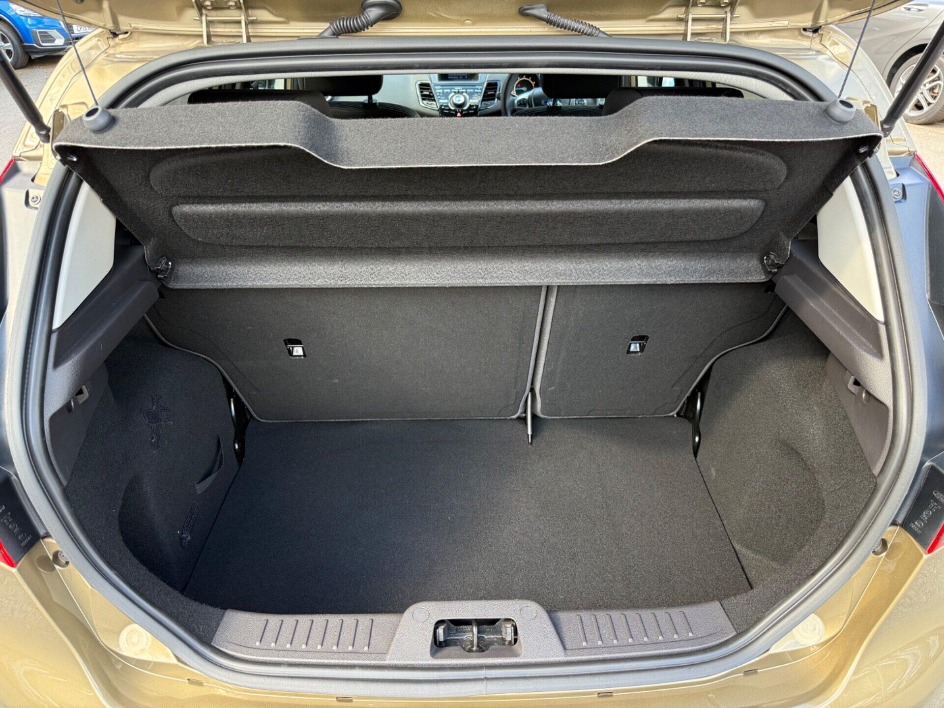 Ford Fiesta view 39