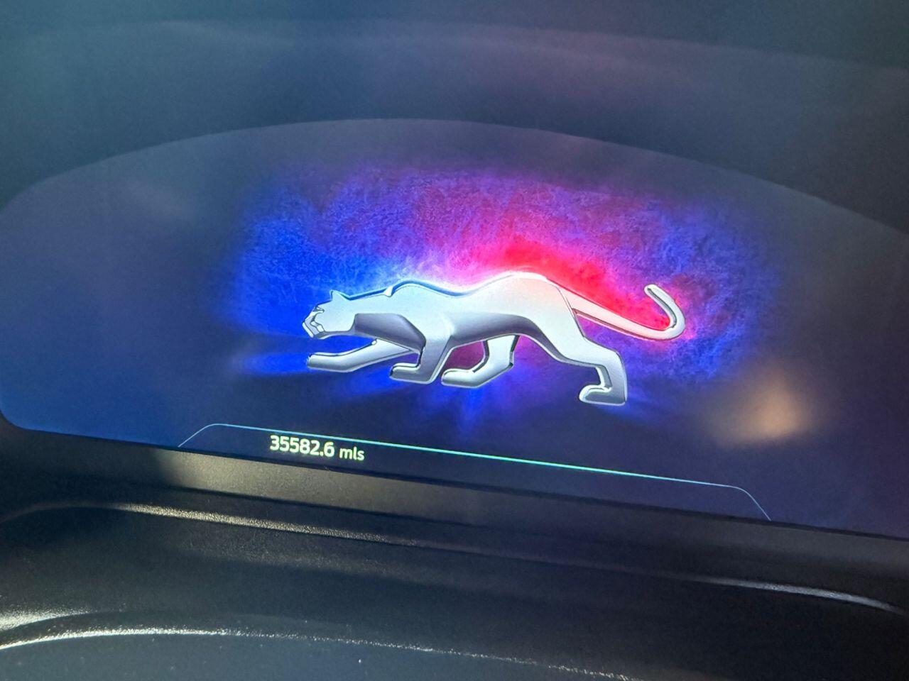 Ford Puma view 11