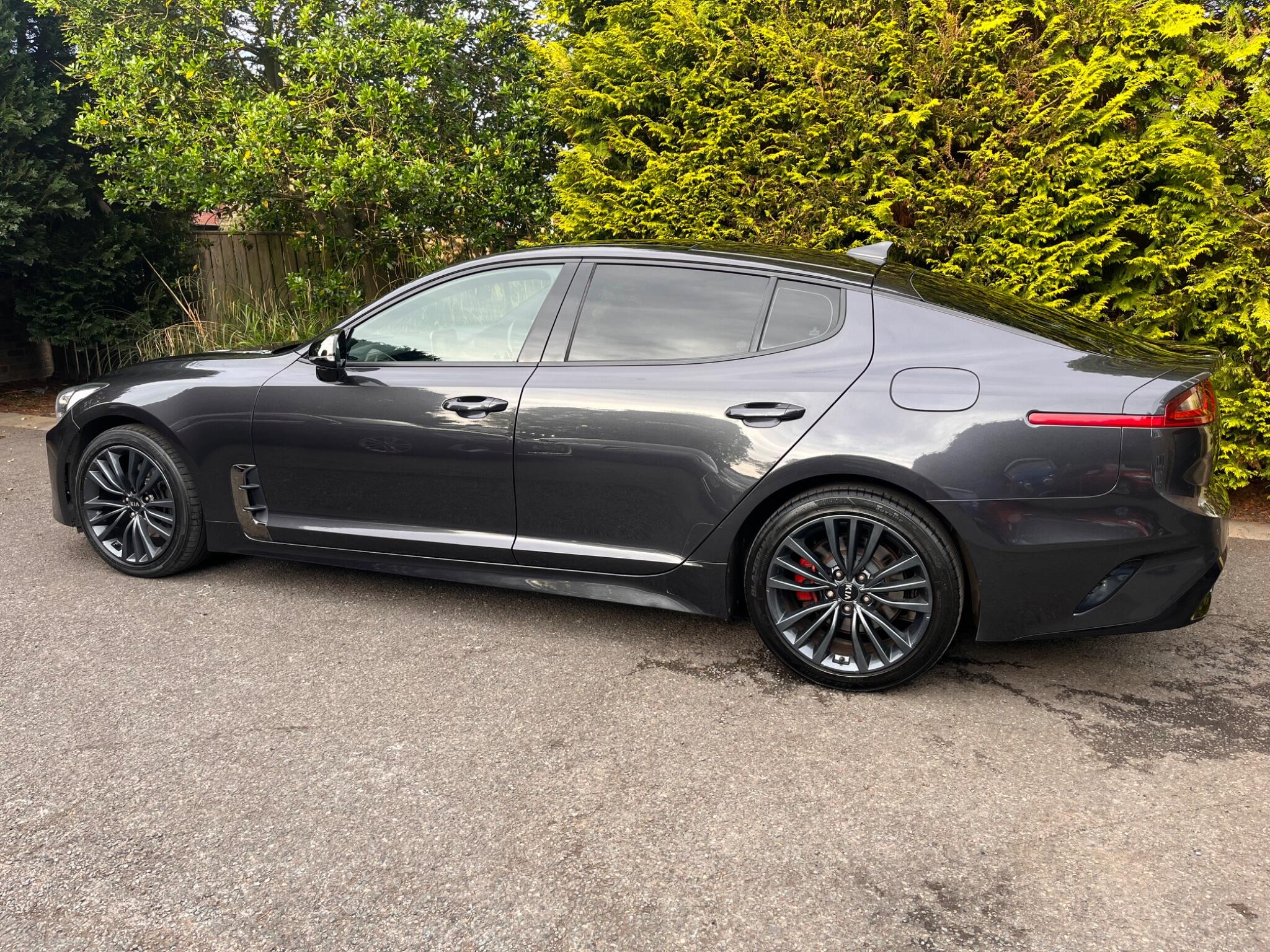Kia Stinger view 9