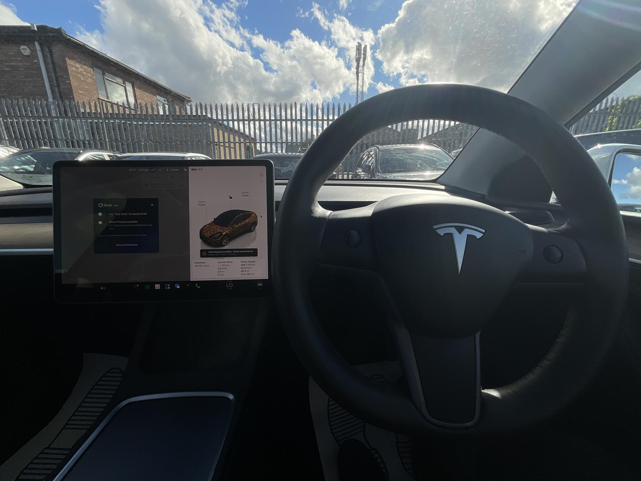 Tesla Model Y view 19