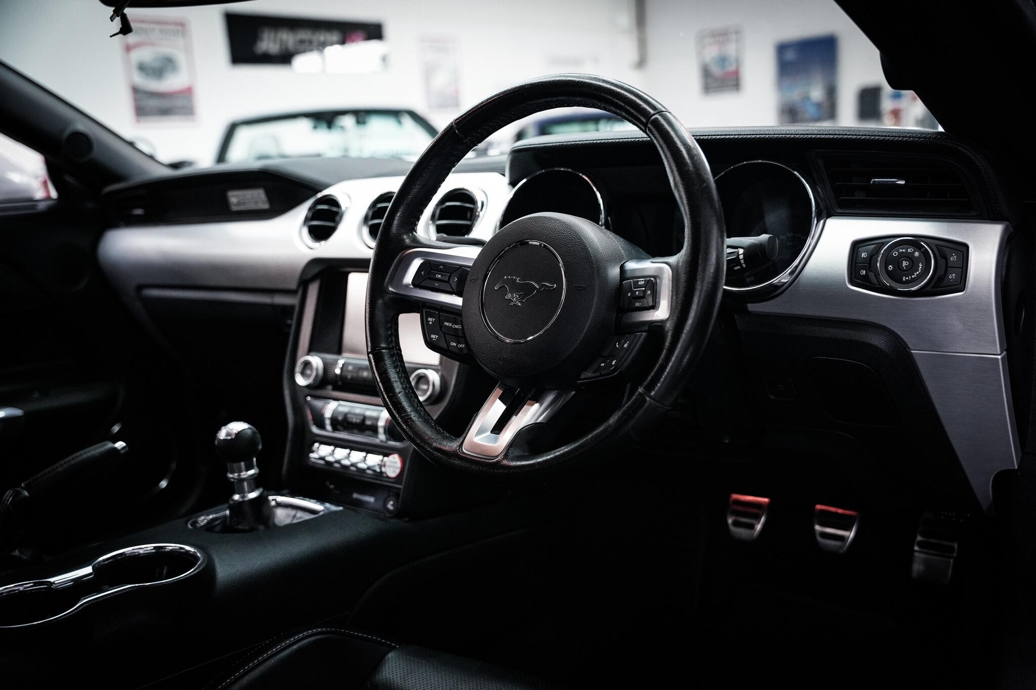 Ford Mustang view 18
