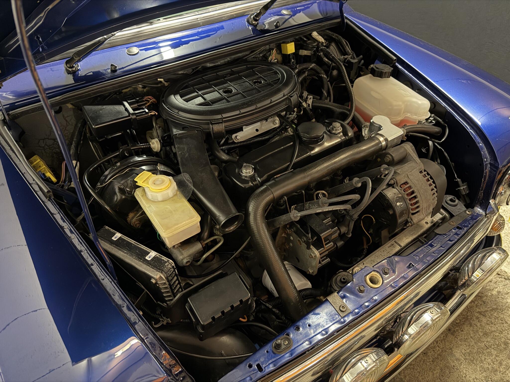 Rover Mini view 48