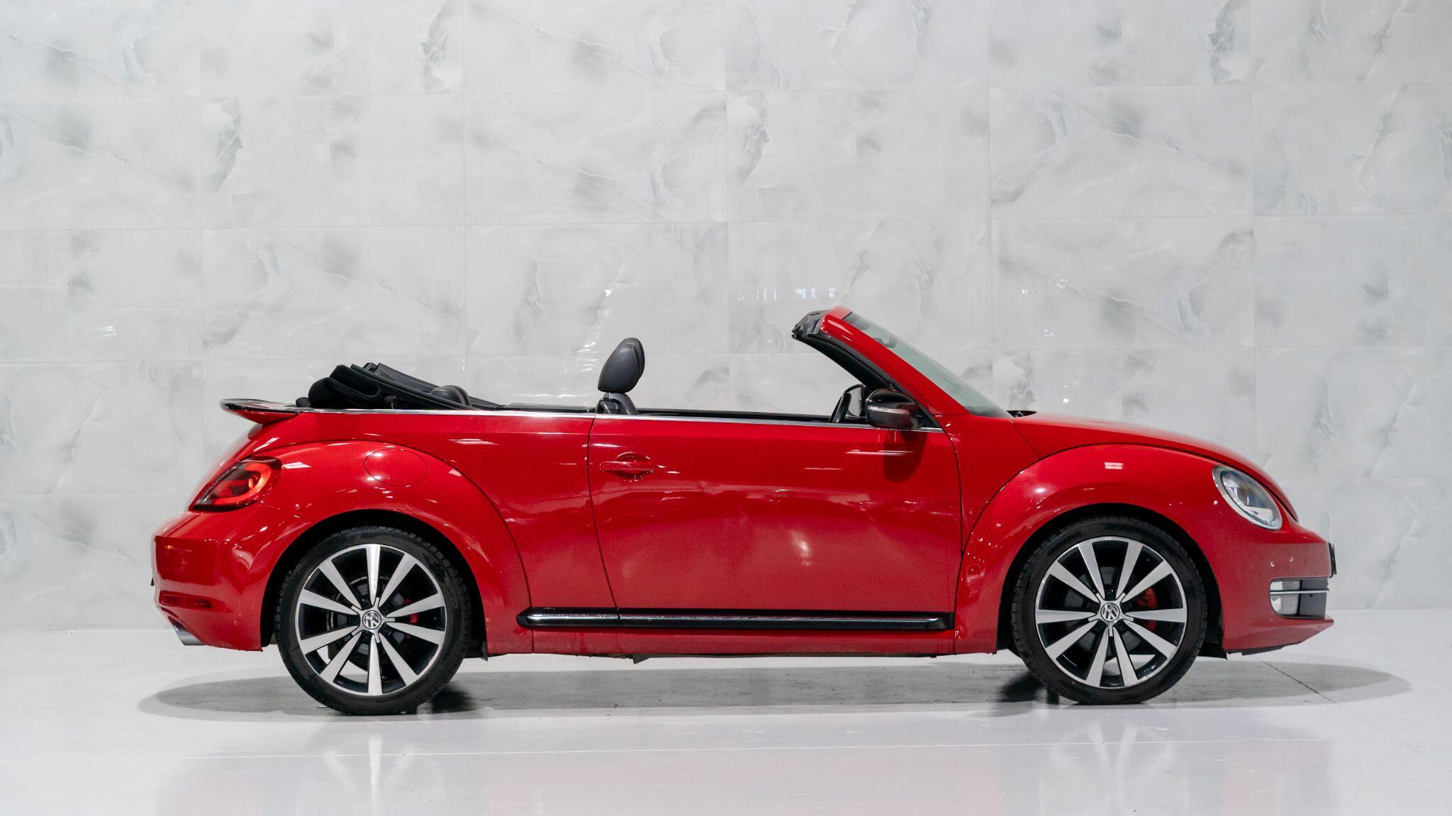 Volkswagen Beetle view 8