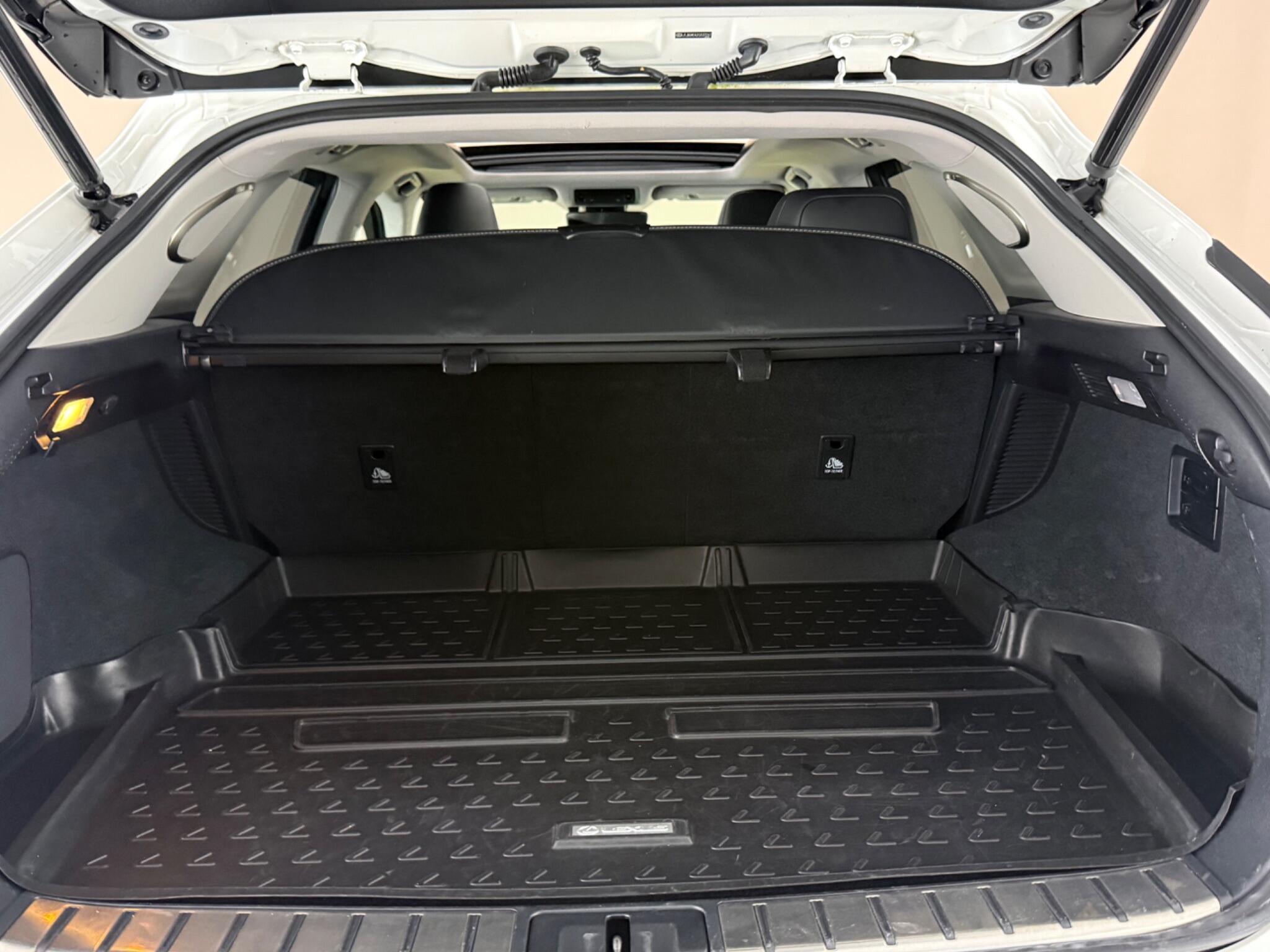 Lexus RX view 10