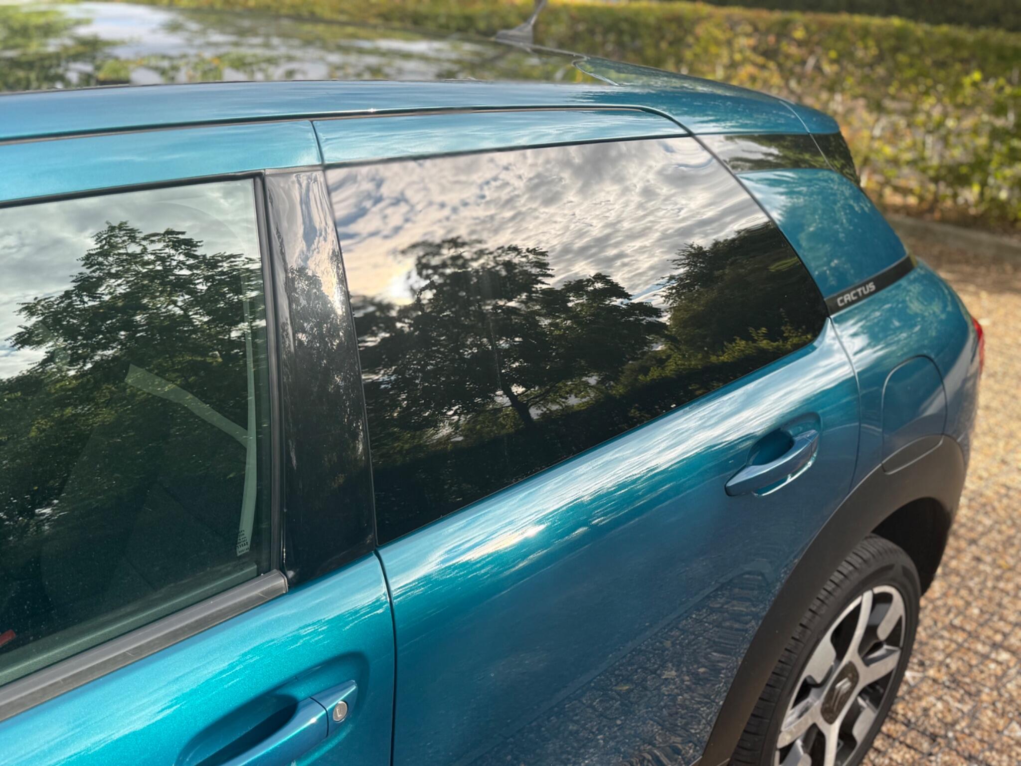 Citroen C4 Cactus view 77