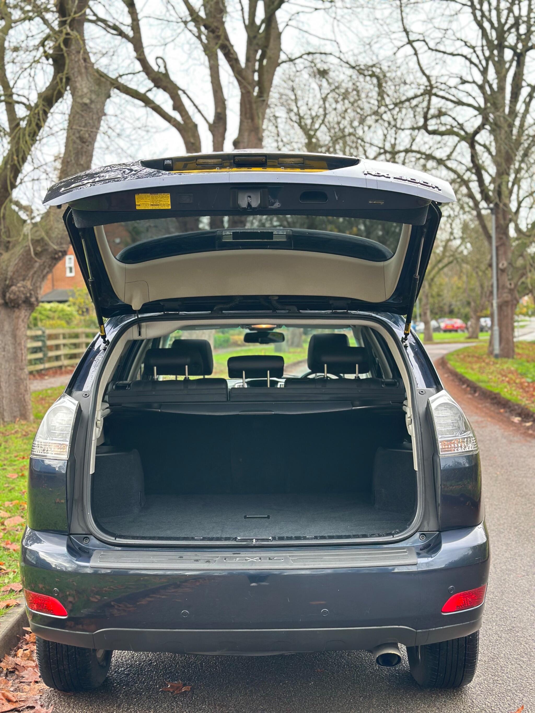 2009 Lexus RX image 10