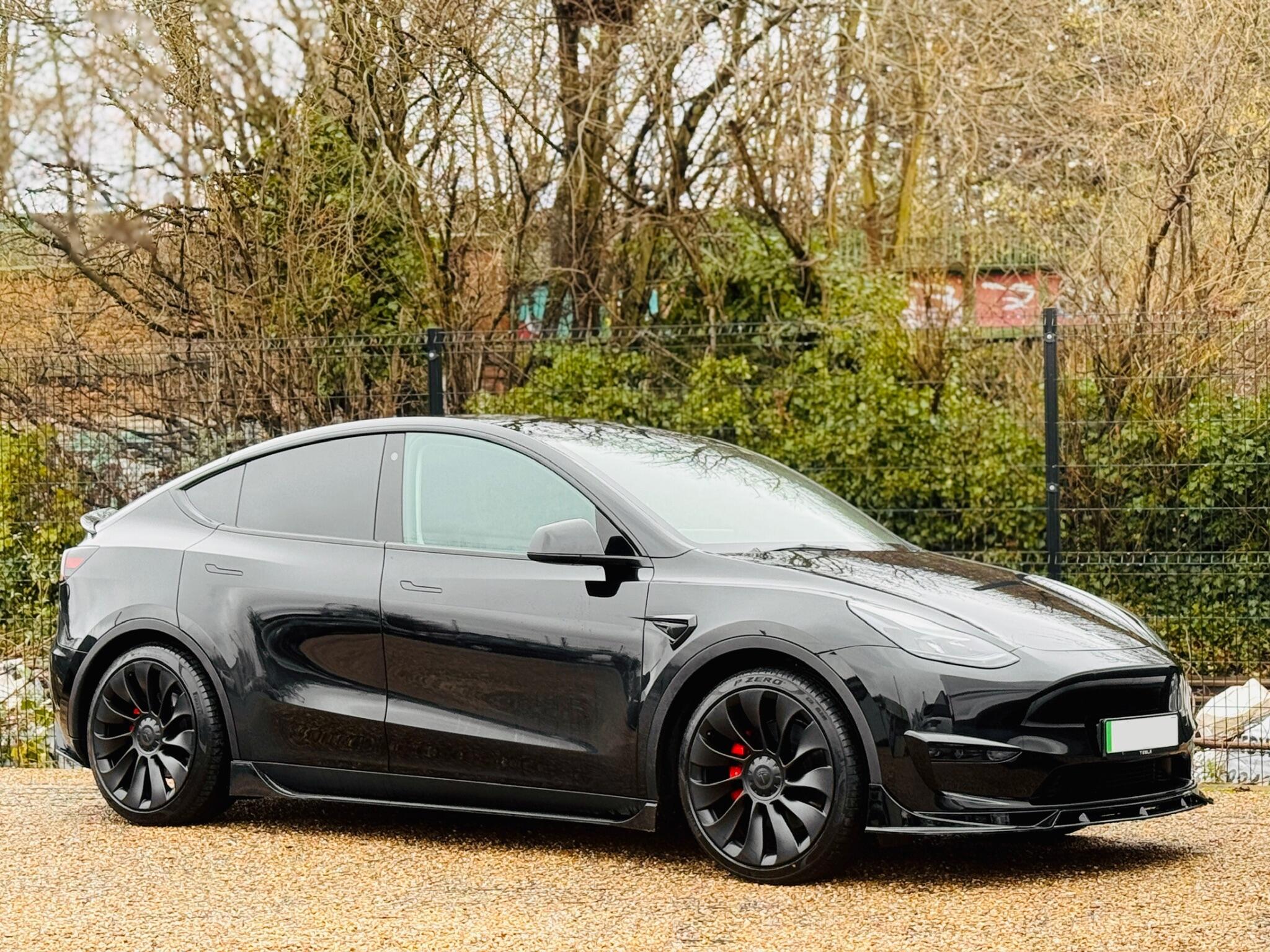 Tesla Model Y view 12