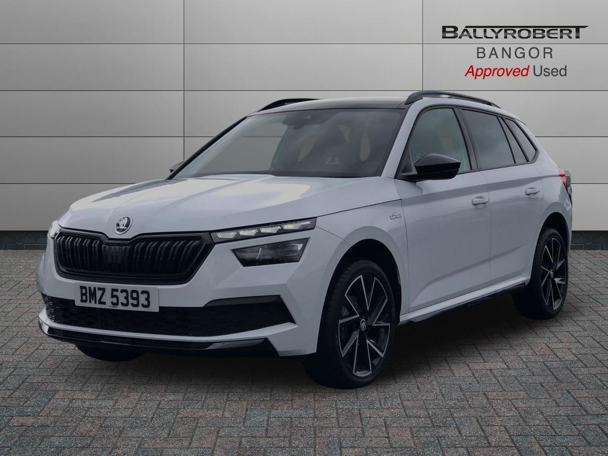 Skoda Kamiq view 14