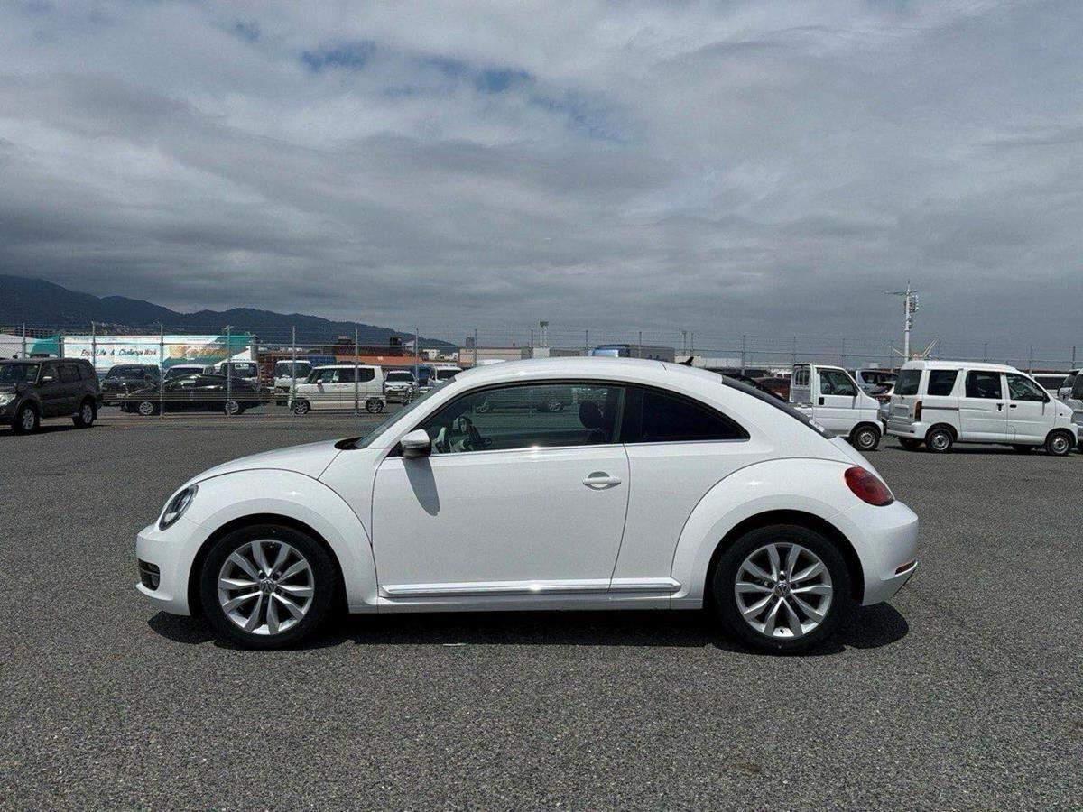 Volkswagen Beetle view 6