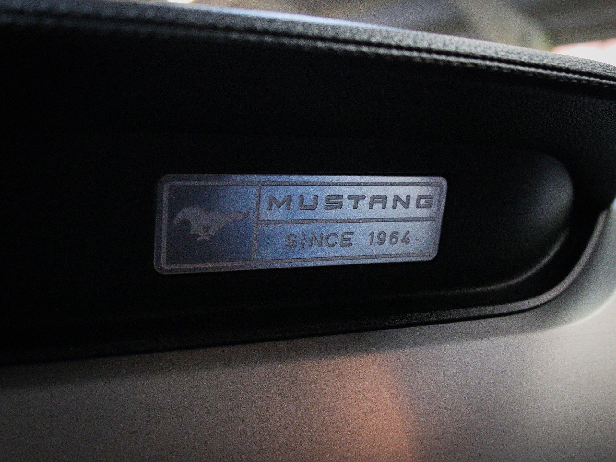 Ford Mustang view 20