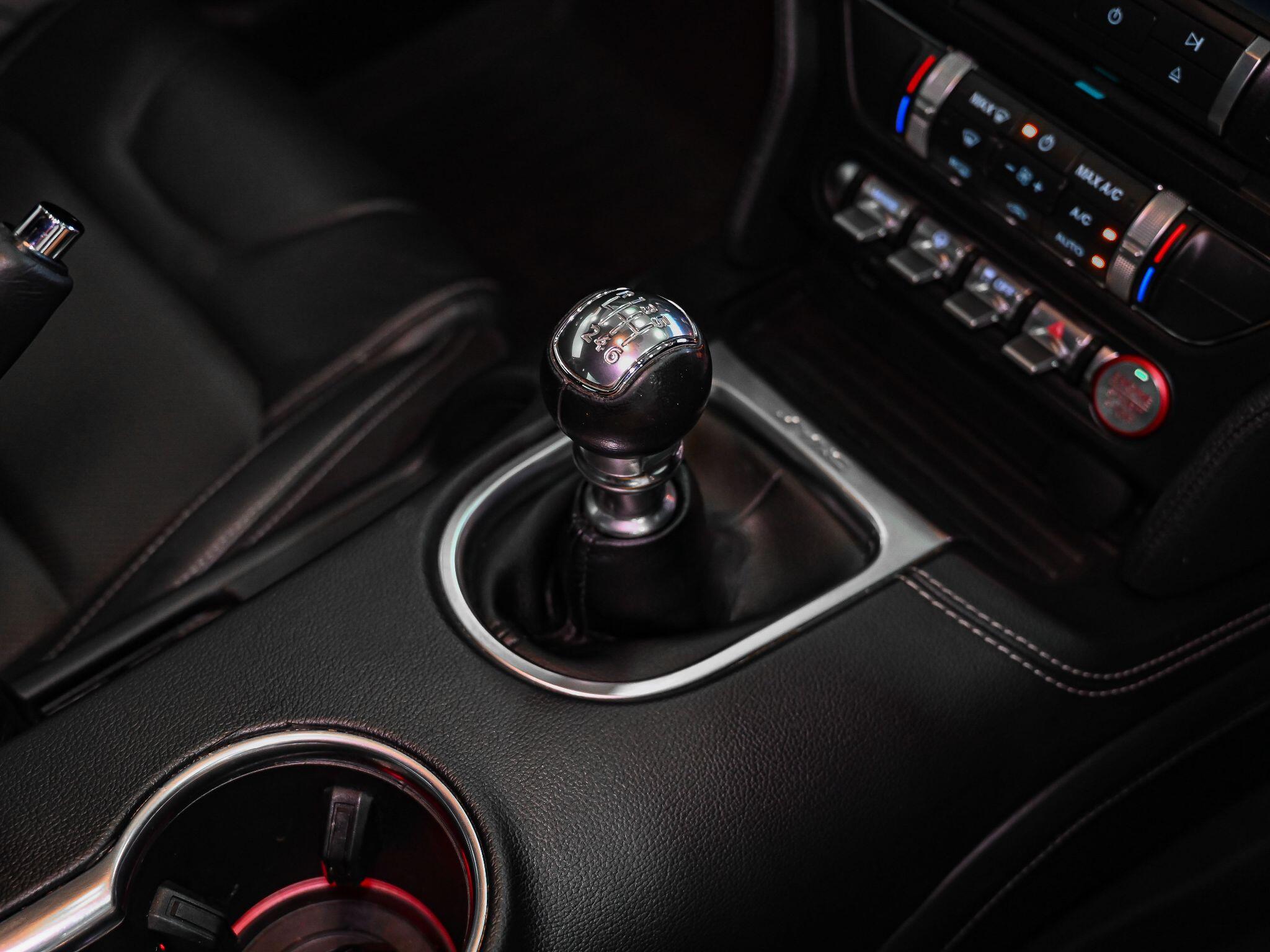 Ford Mustang view 20