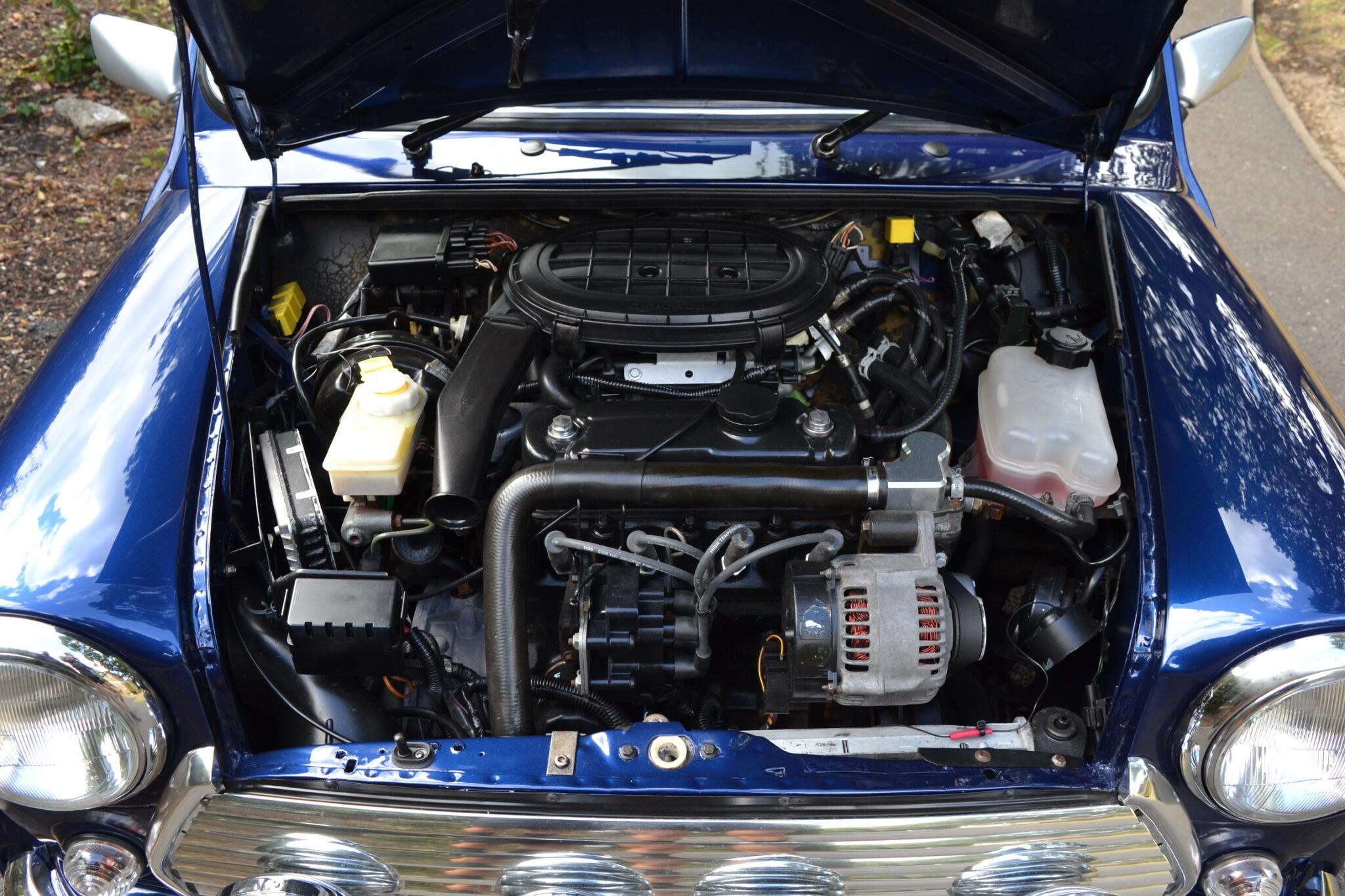 Rover Mini view 50