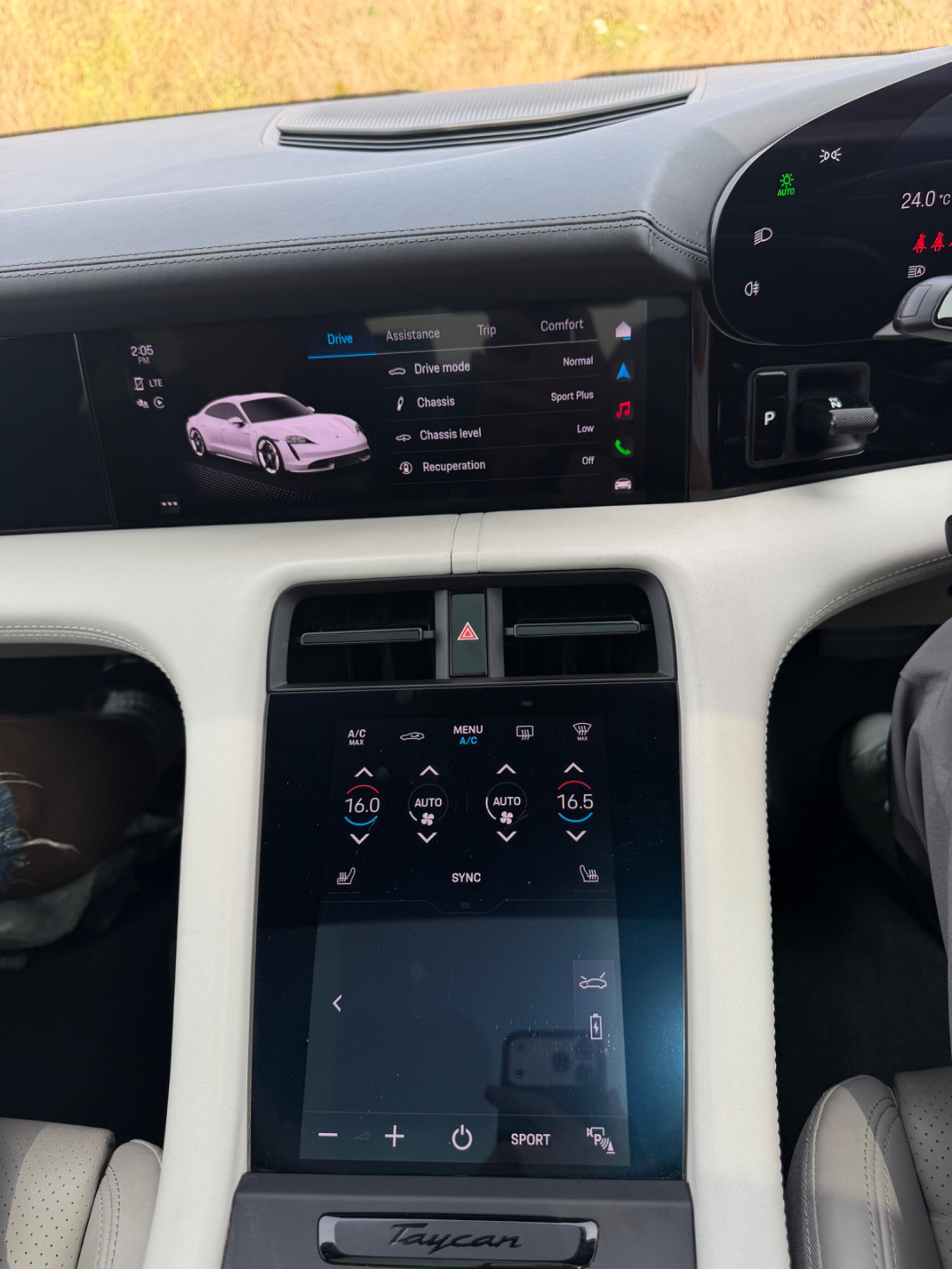Porsche Taycan view 29