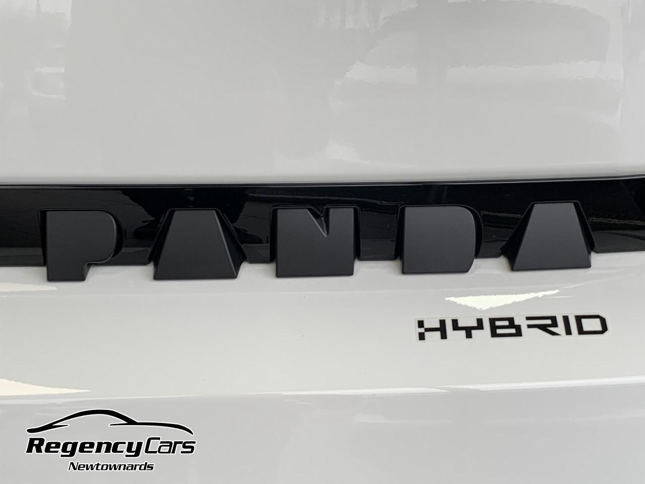 Fiat Grande Panda view 19