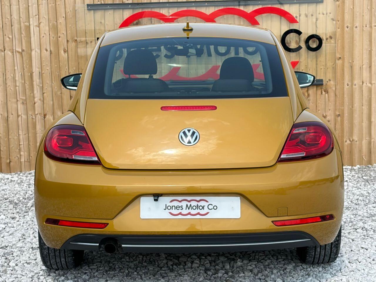 Volkswagen Beetle view 5