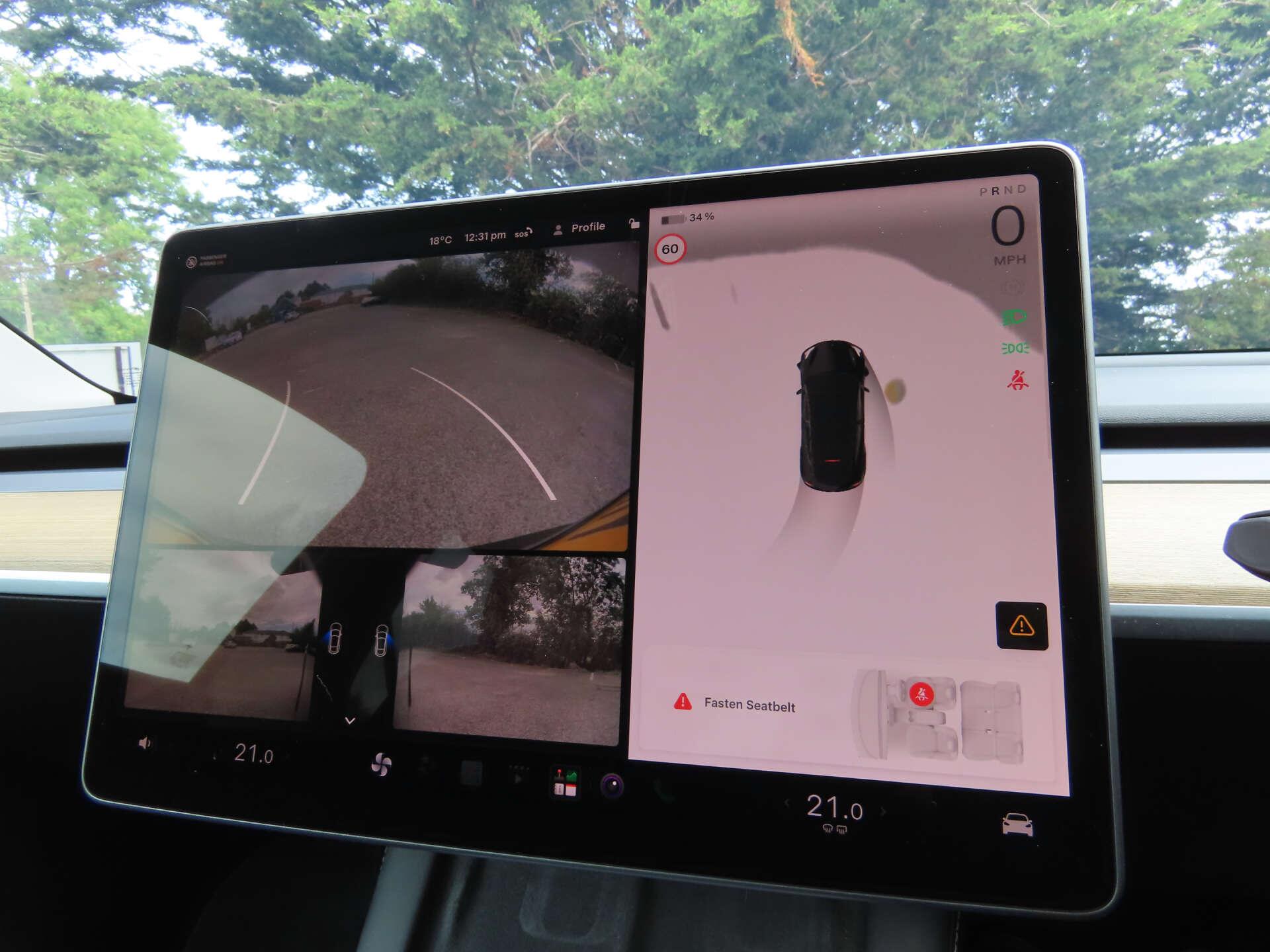 Tesla Model Y view 10