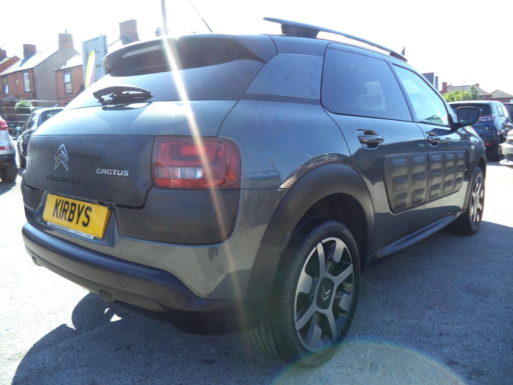 Citroen C4 Cactus view 11