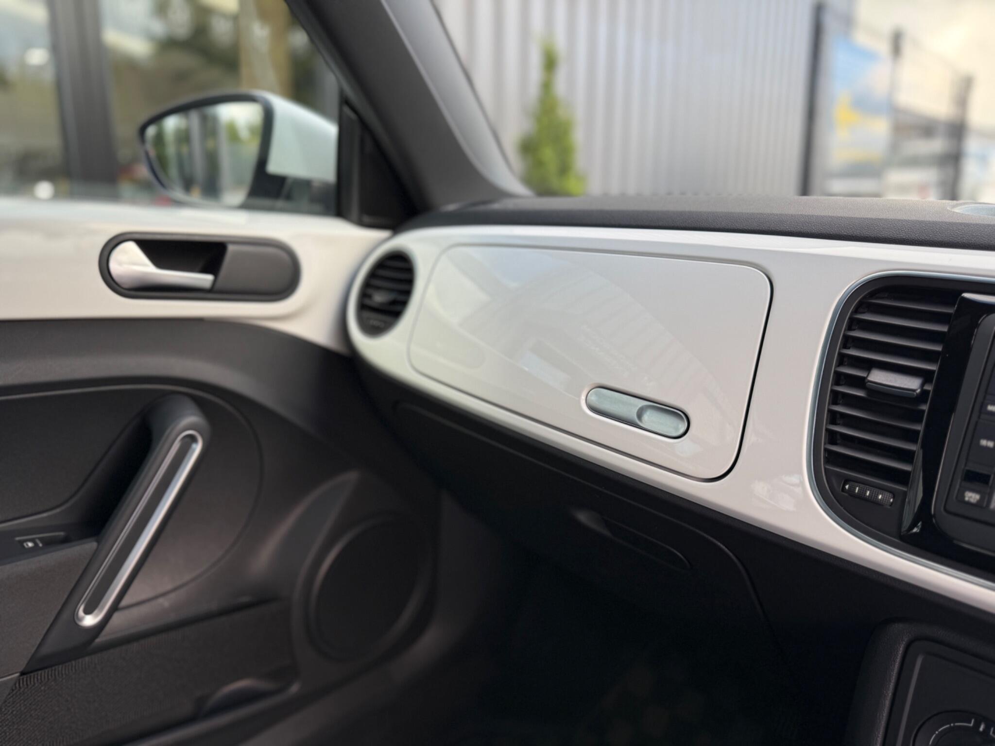 Volkswagen Beetle view 24