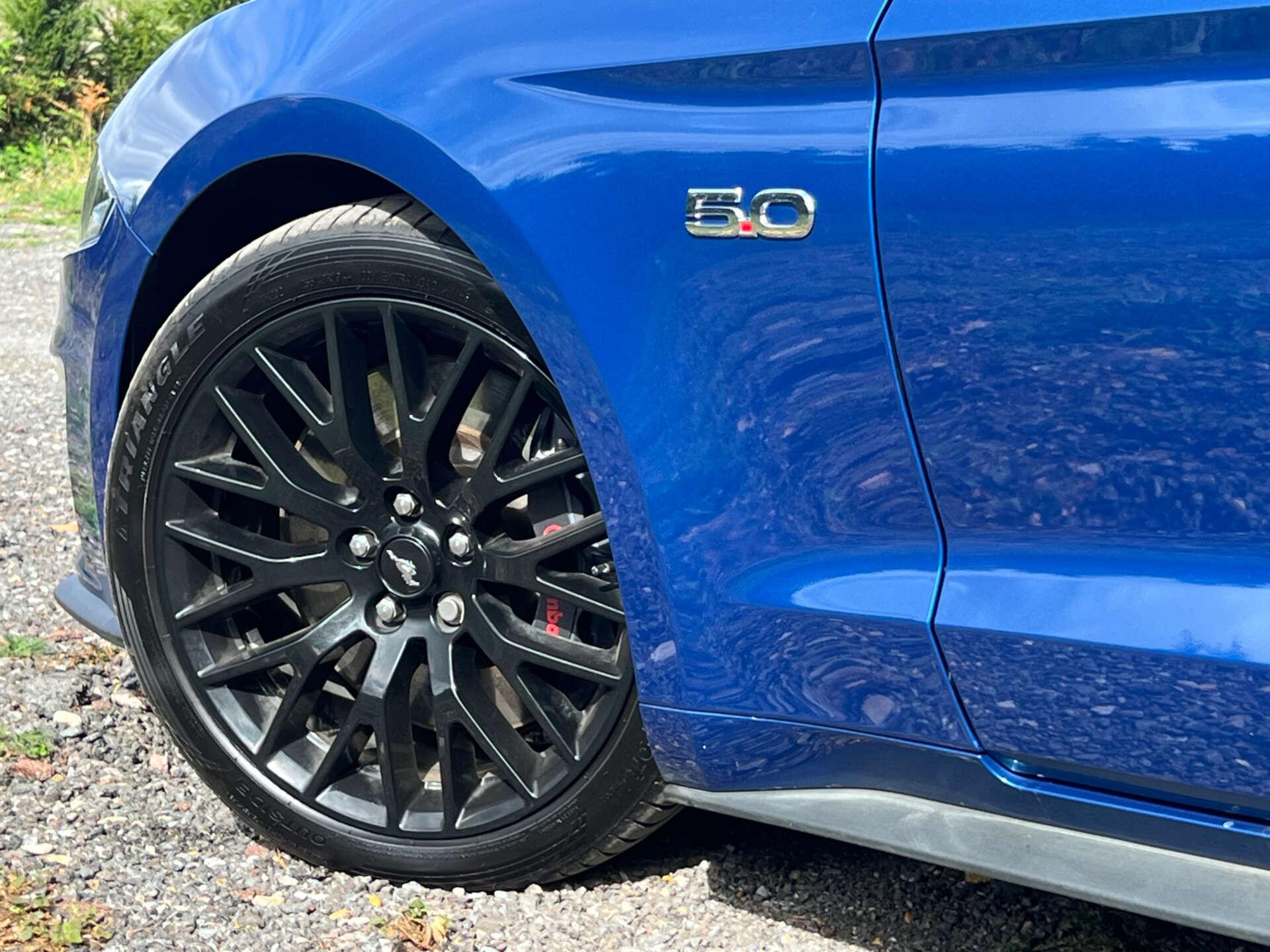 Ford Mustang view 19