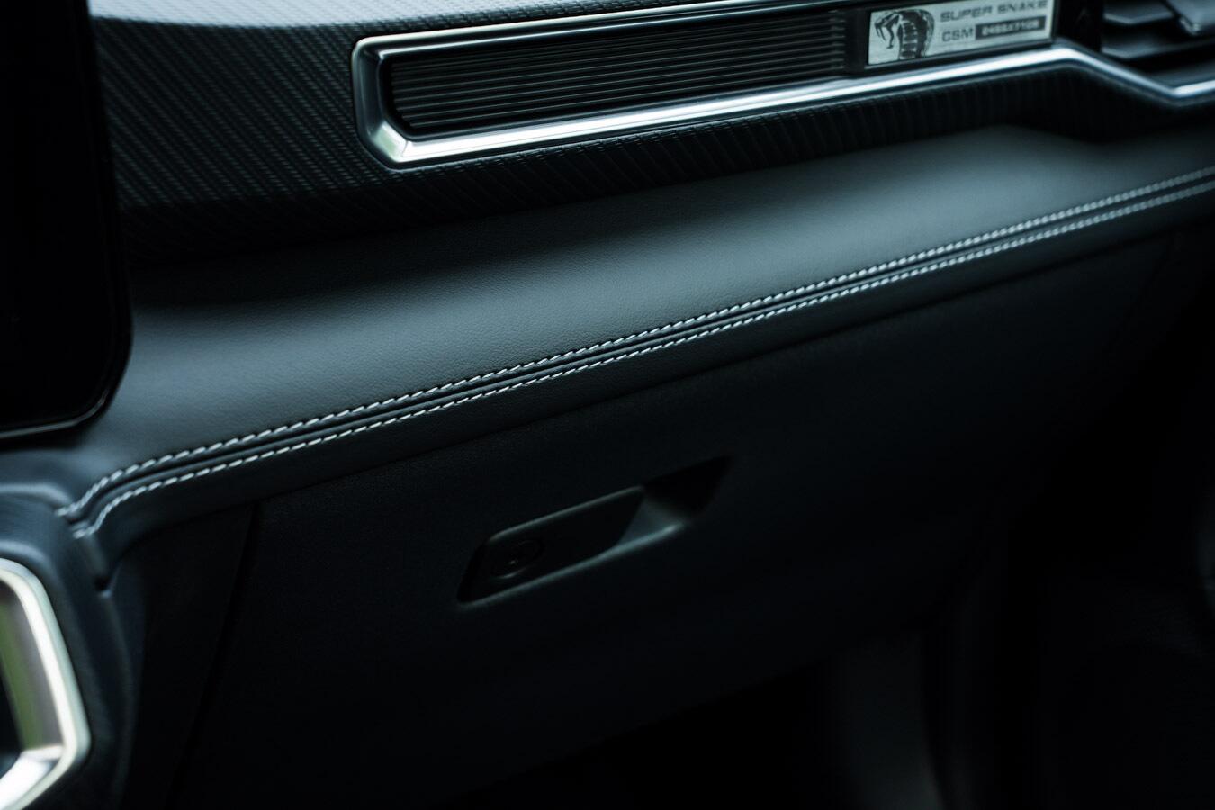Ford Mustang view 40