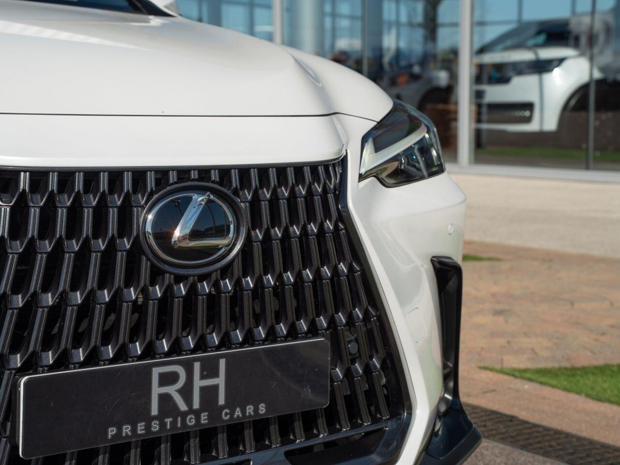Lexus NX view 29