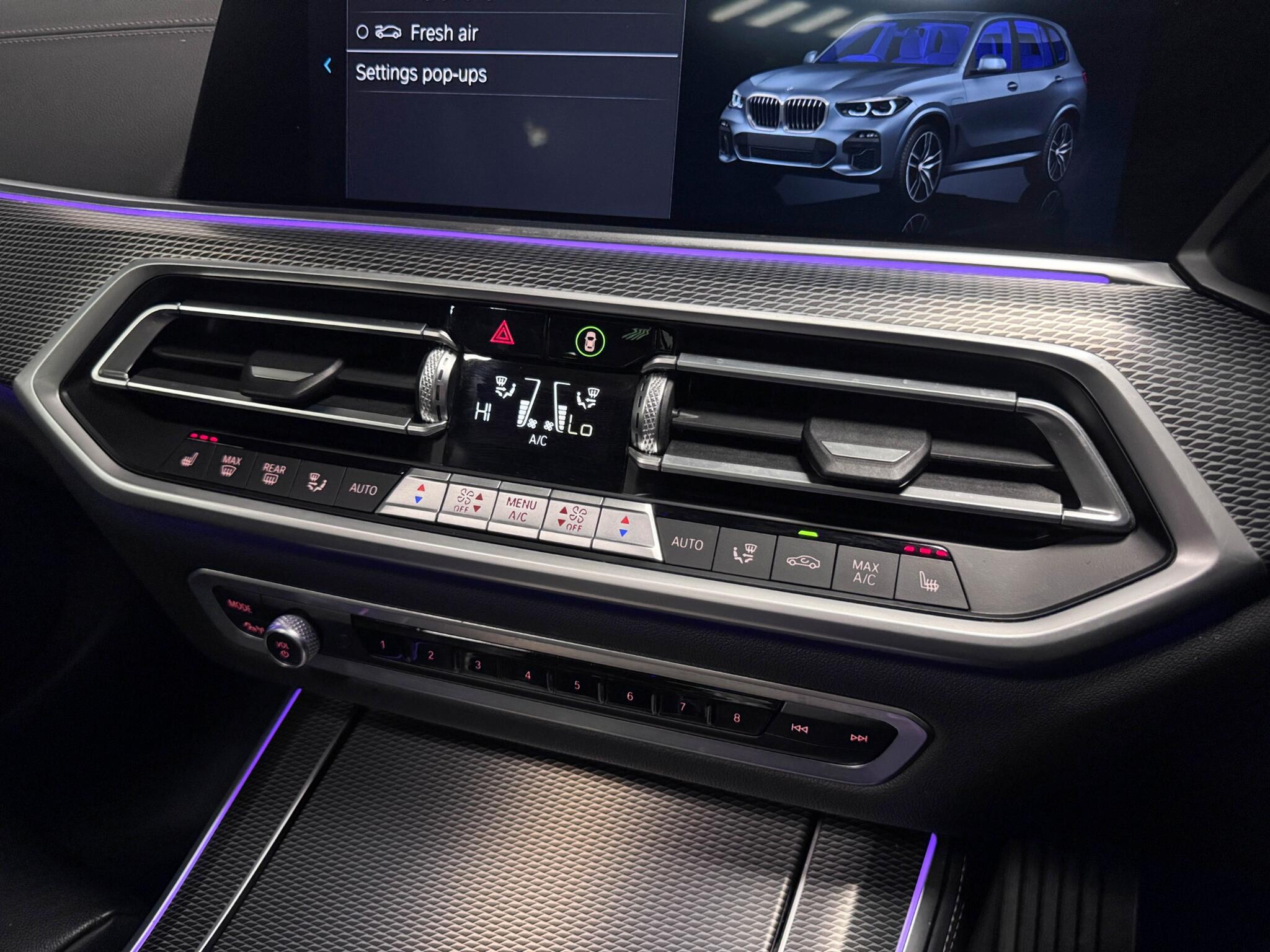 BMW X5 X5 view 43