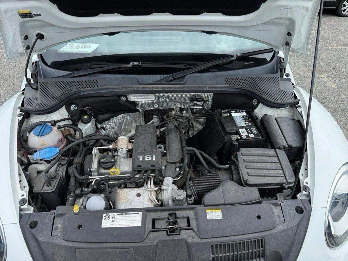 Volkswagen Beetle view 18