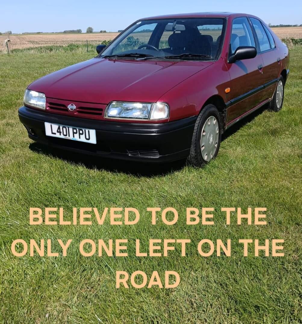 Nissan Primera