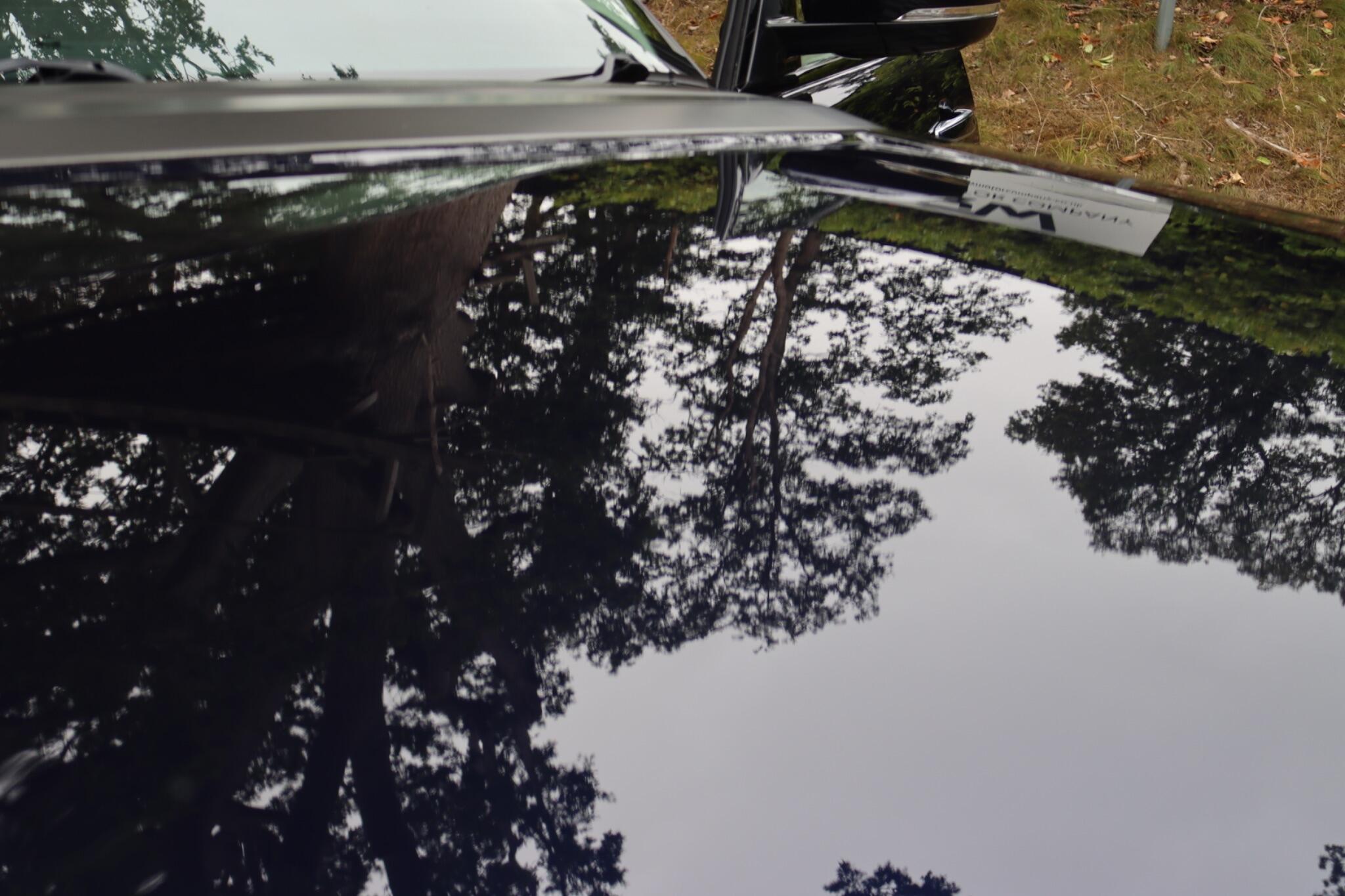 Land Rover Range Rover view 84
