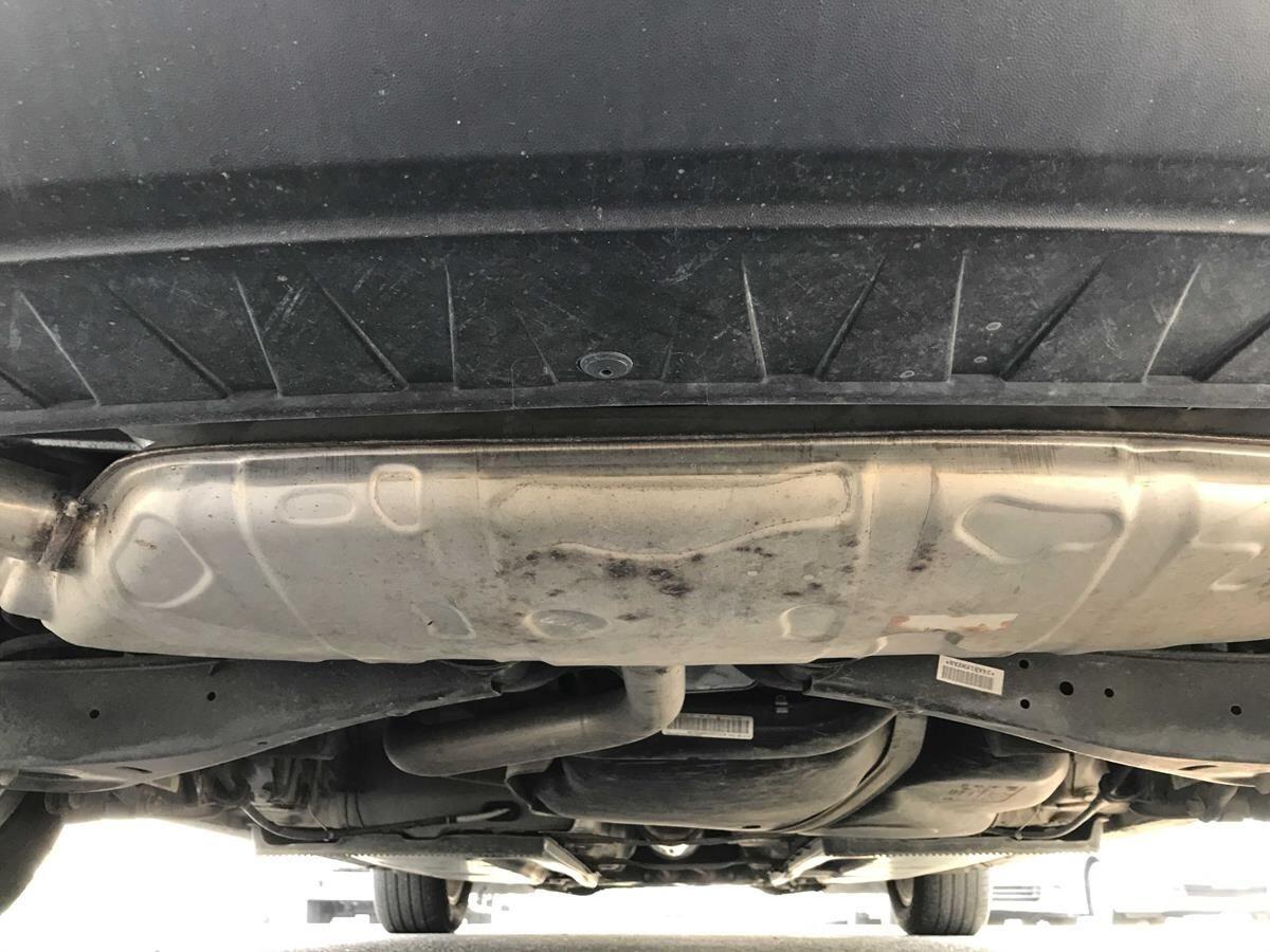 Volkswagen Beetle view 23