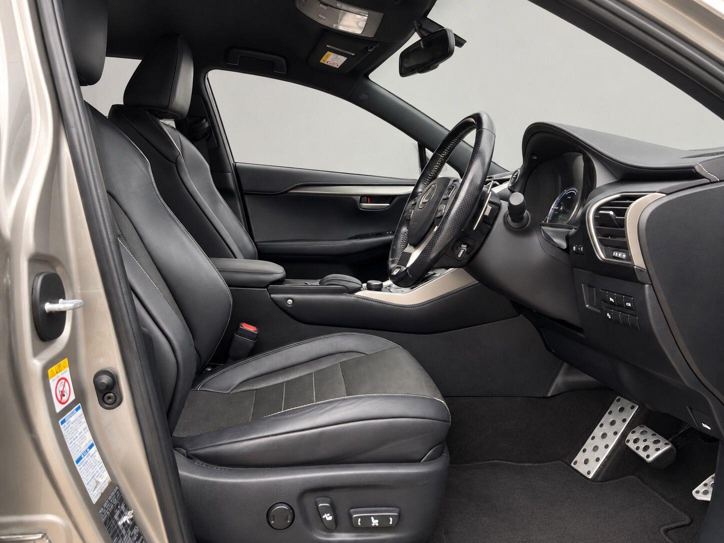 Lexus NX view 18