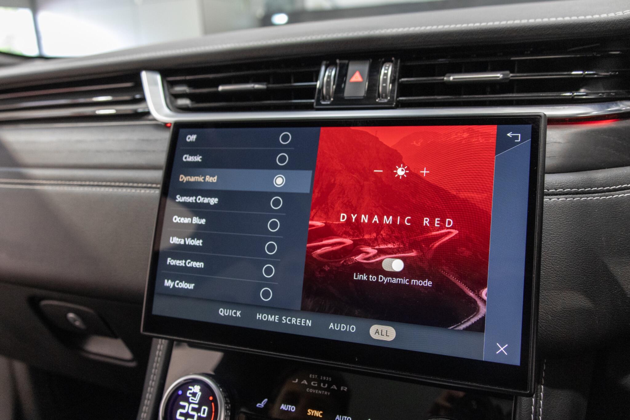 Jaguar F-Pace view 24