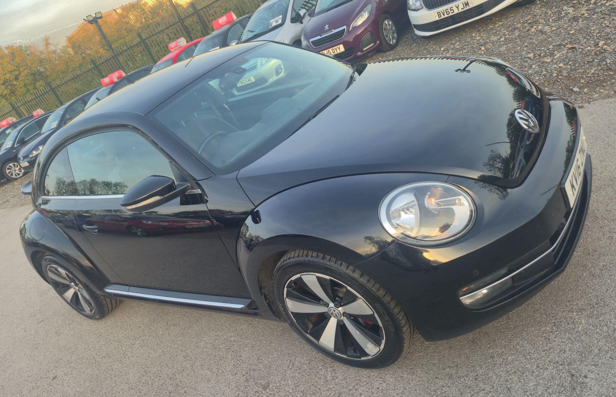 Volkswagen Beetle view 5
