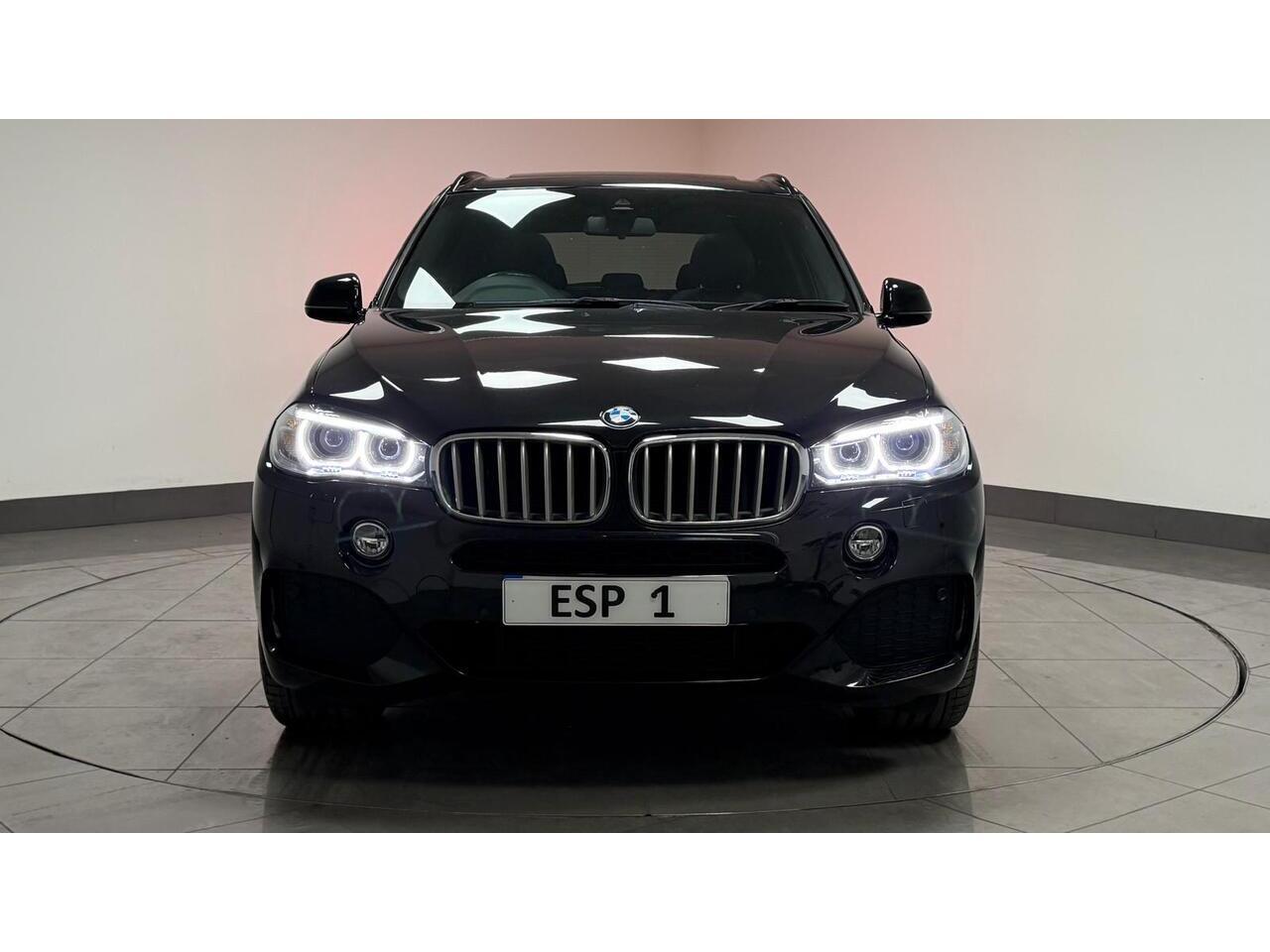 BMW X5 view 12