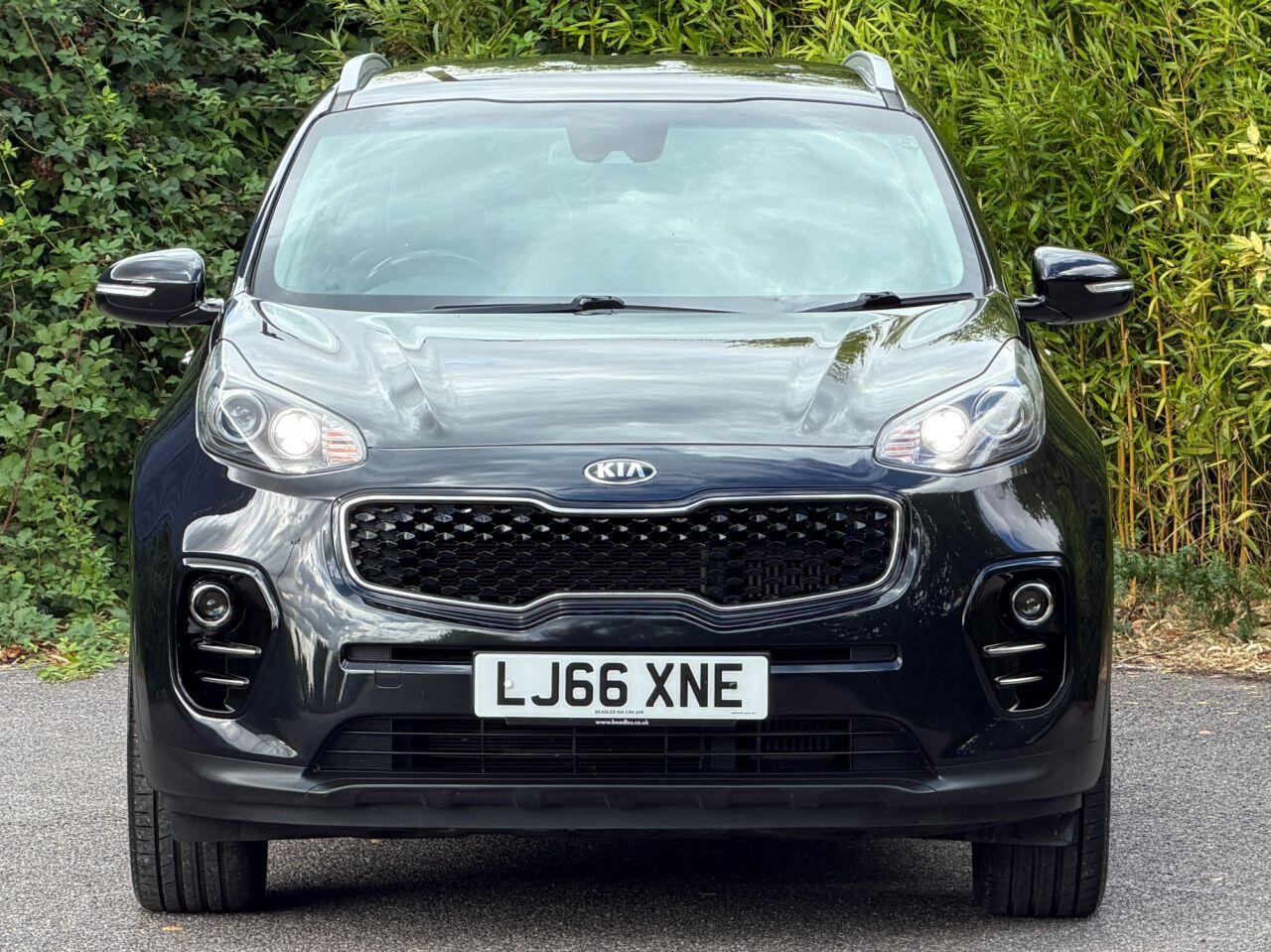 Kia Sportage view 5