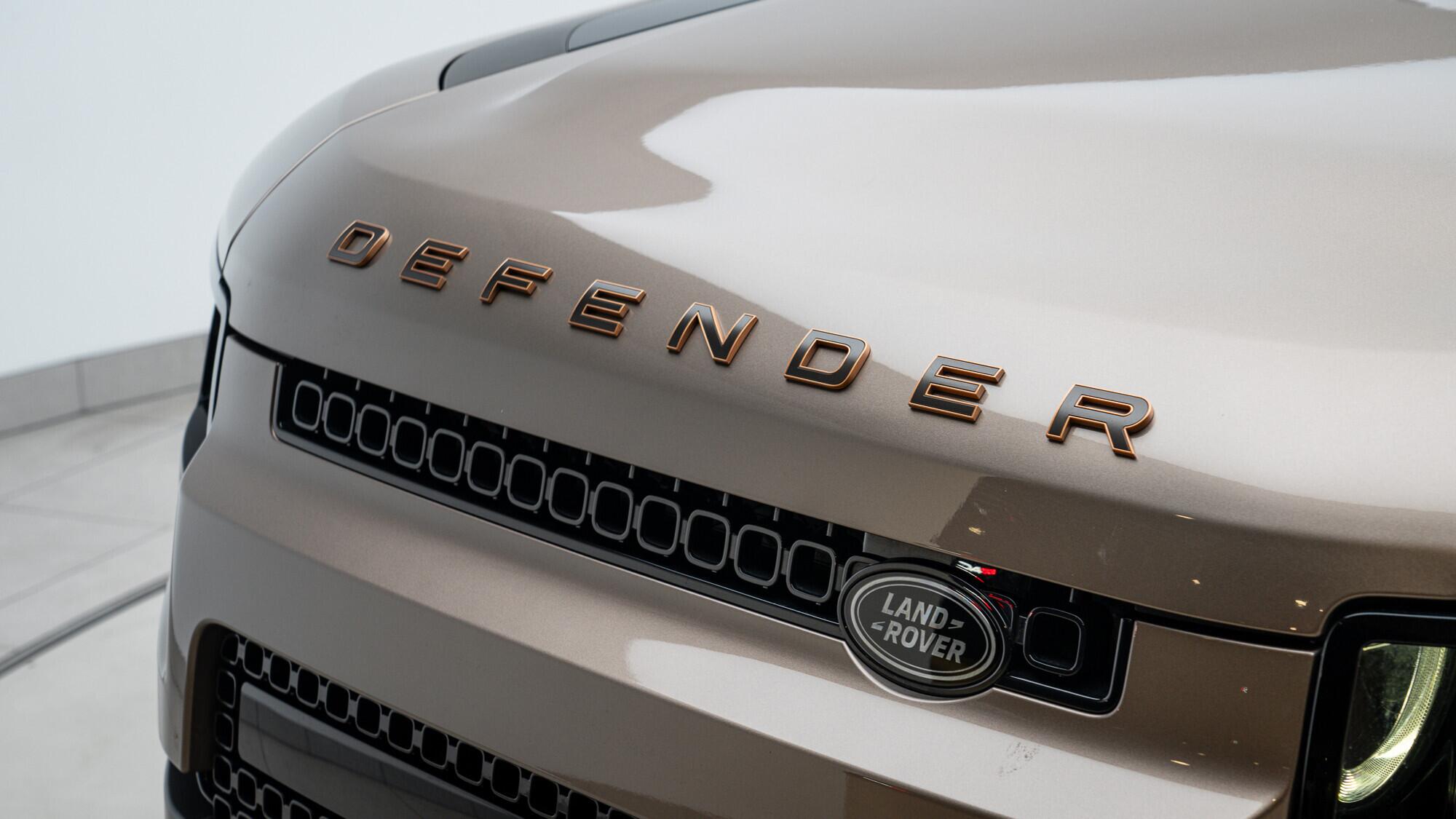 Land Rover Defender 110 view 14