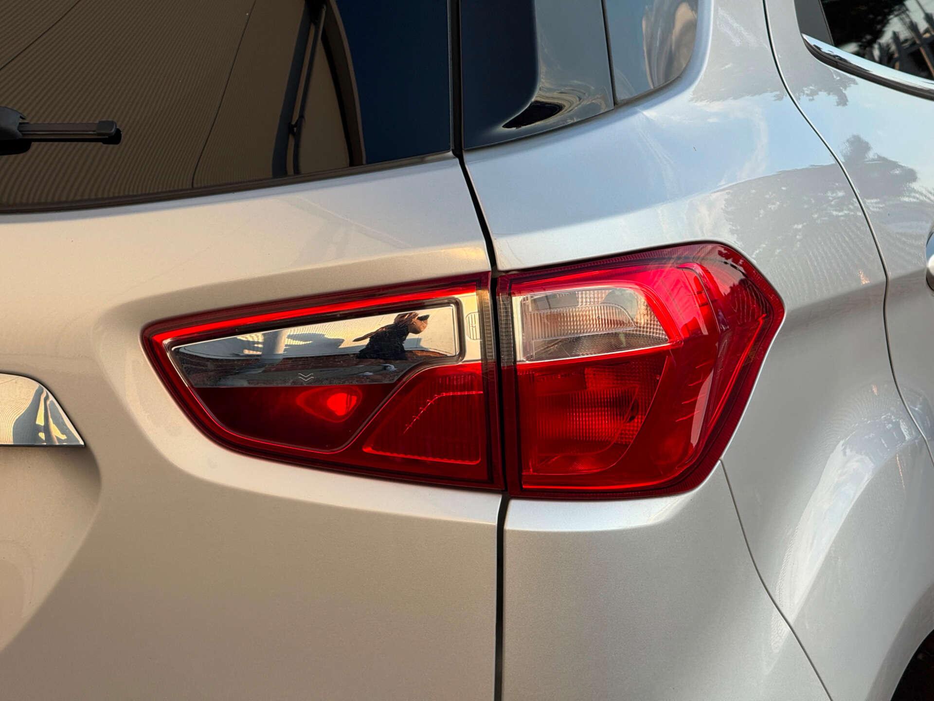 Ford Ecosport view 16