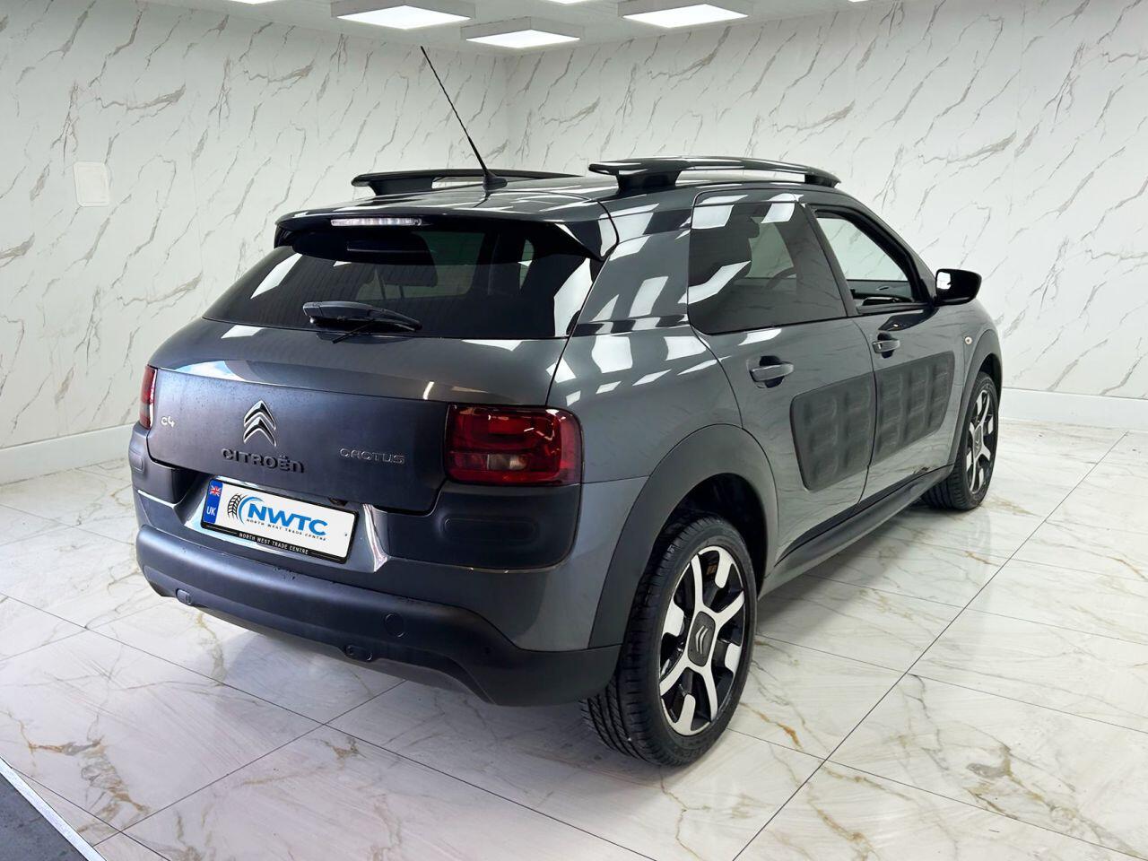 Citroen C4 Cactus view 11