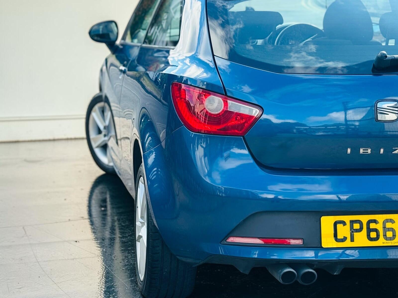 Seat Ibiza view 33