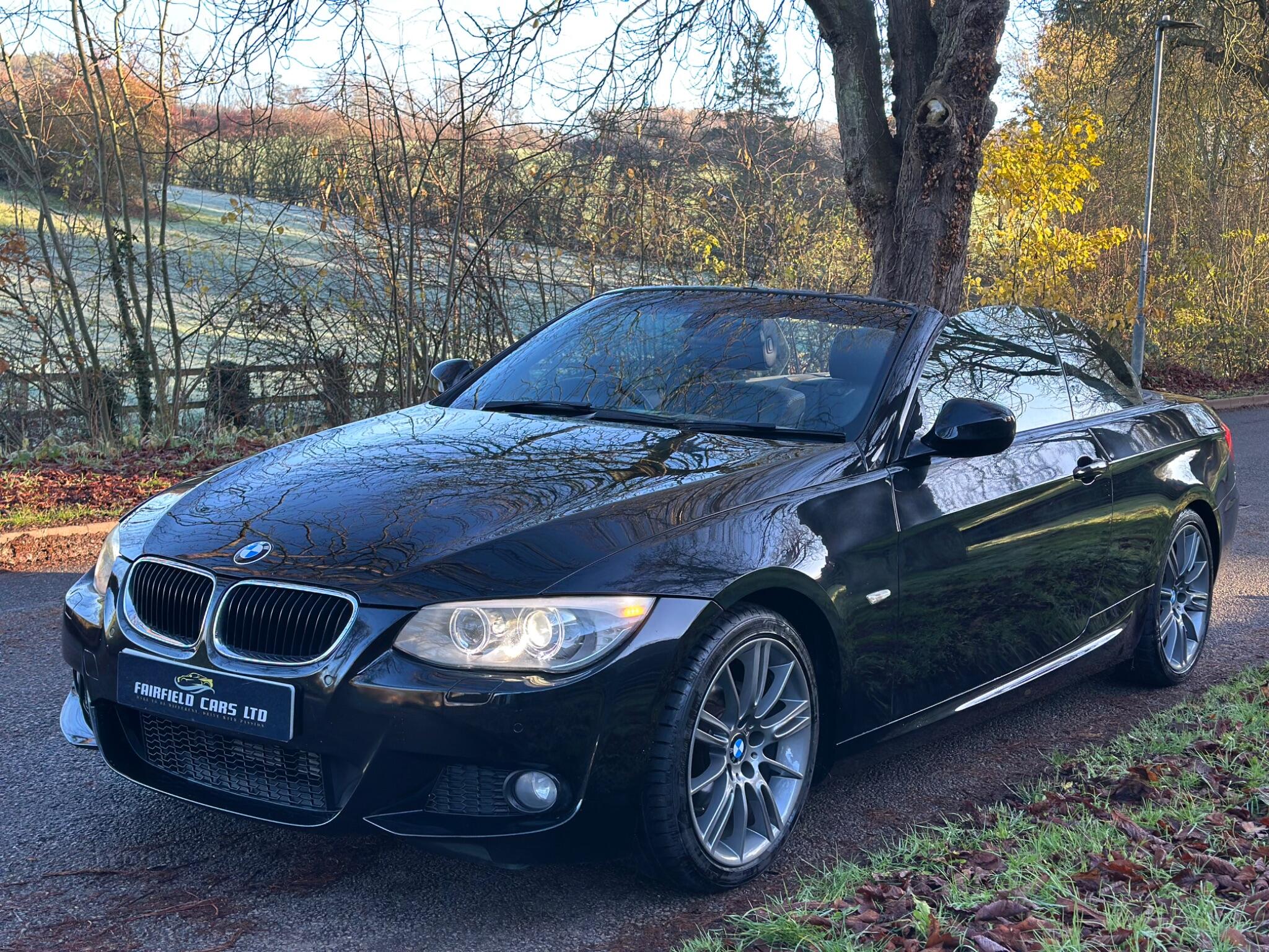 2010 BMW 3 Series image 10