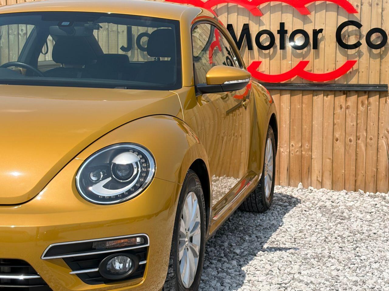 Volkswagen Beetle view 10