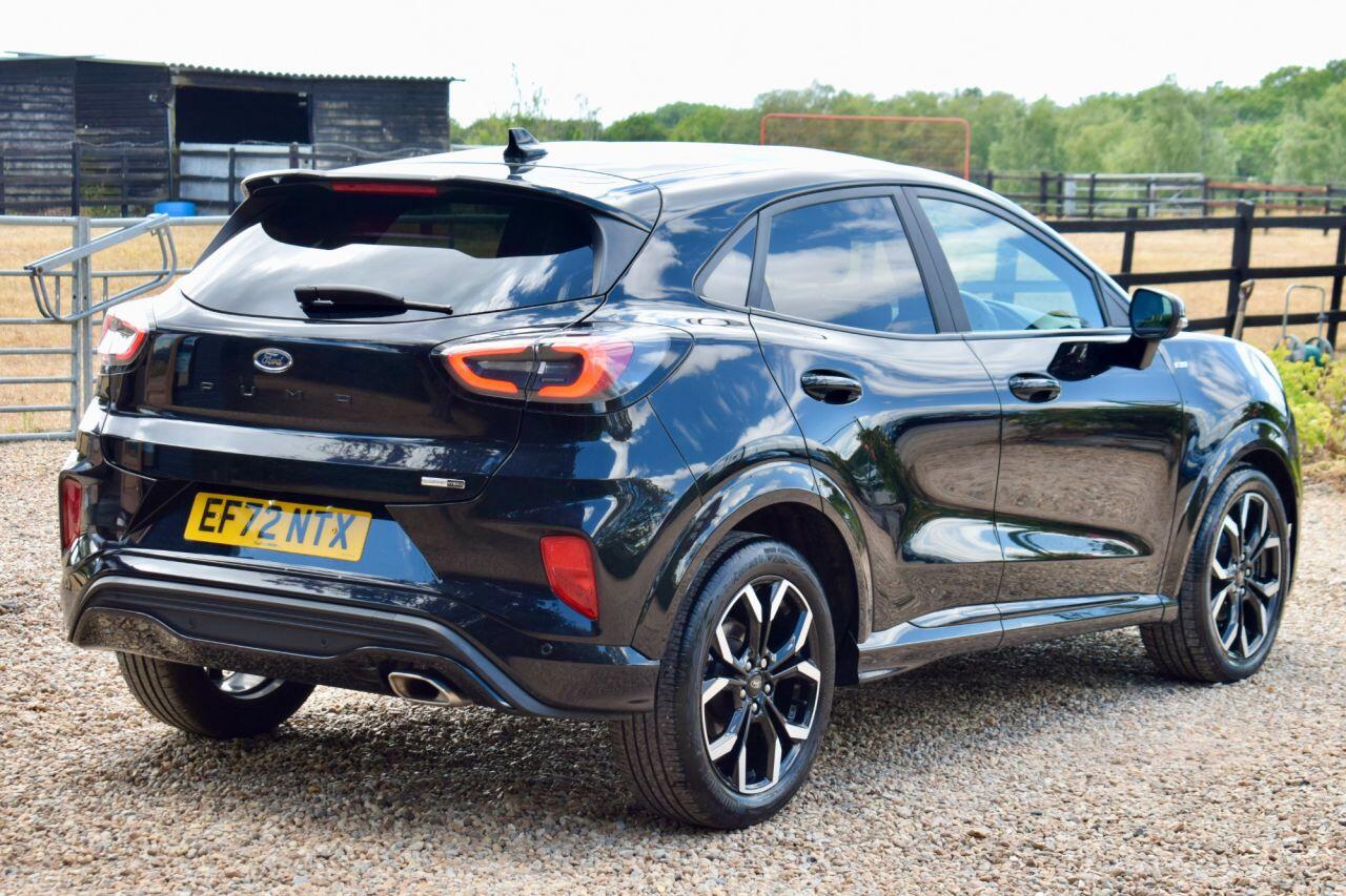 Ford Puma view 15