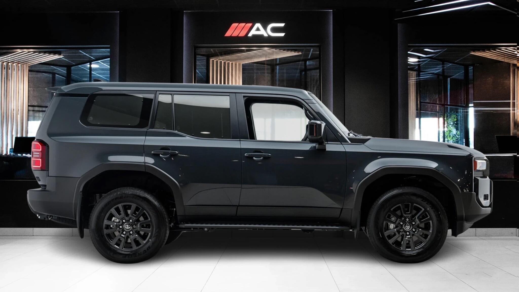 Toyota Land Cruiser view 6