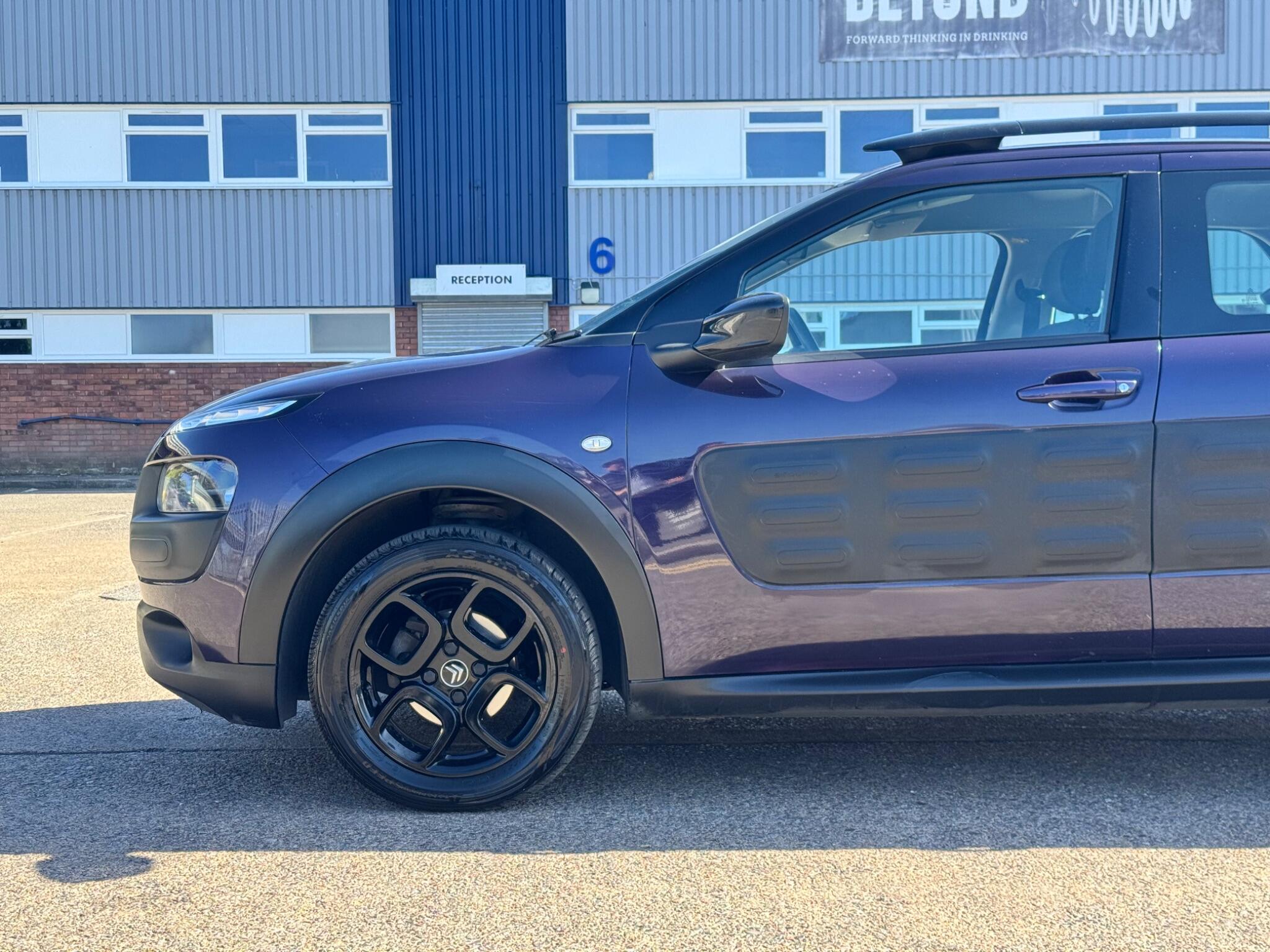 Citroen C4 Cactus view 11