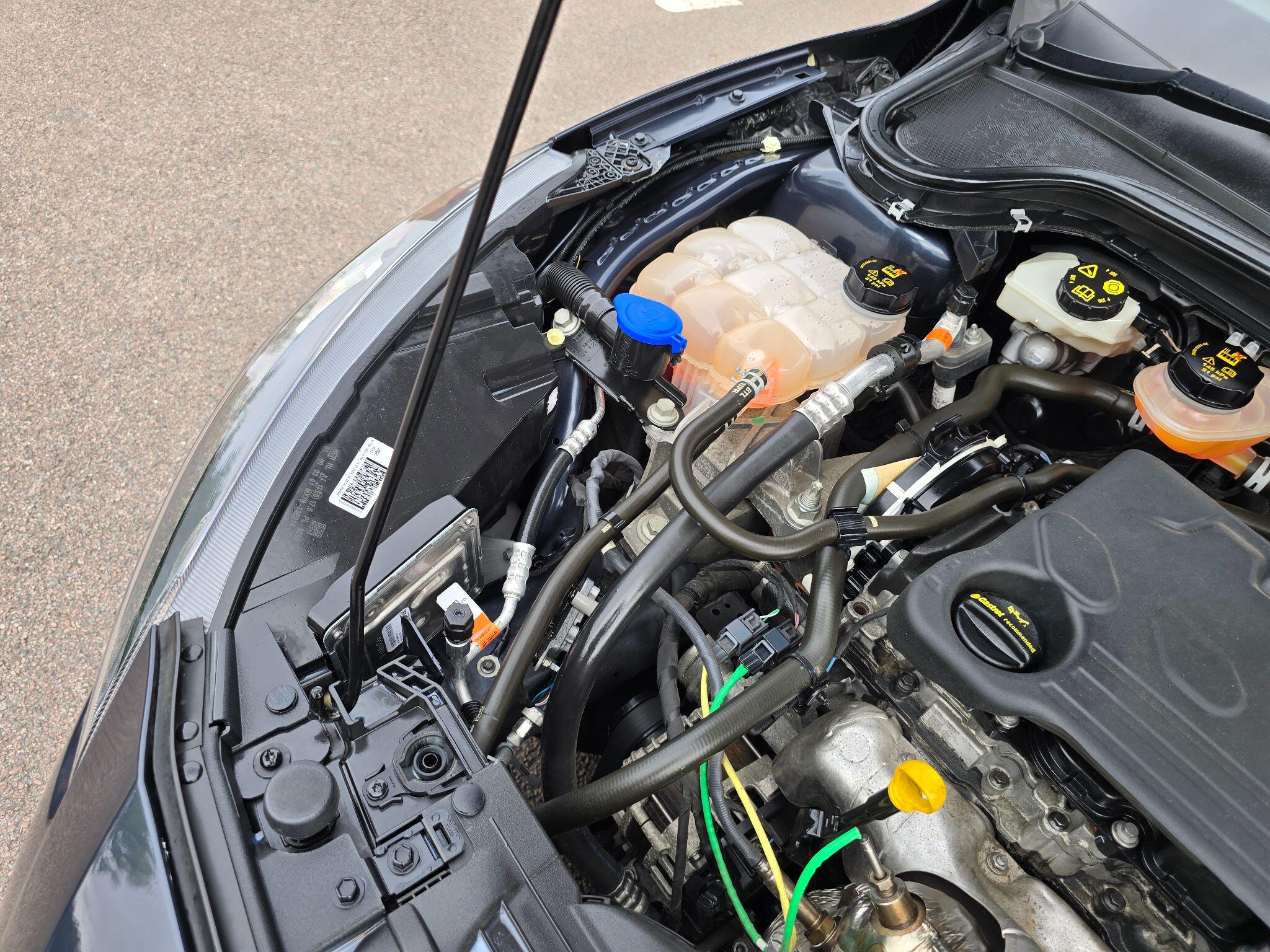 Ford Focus view 62