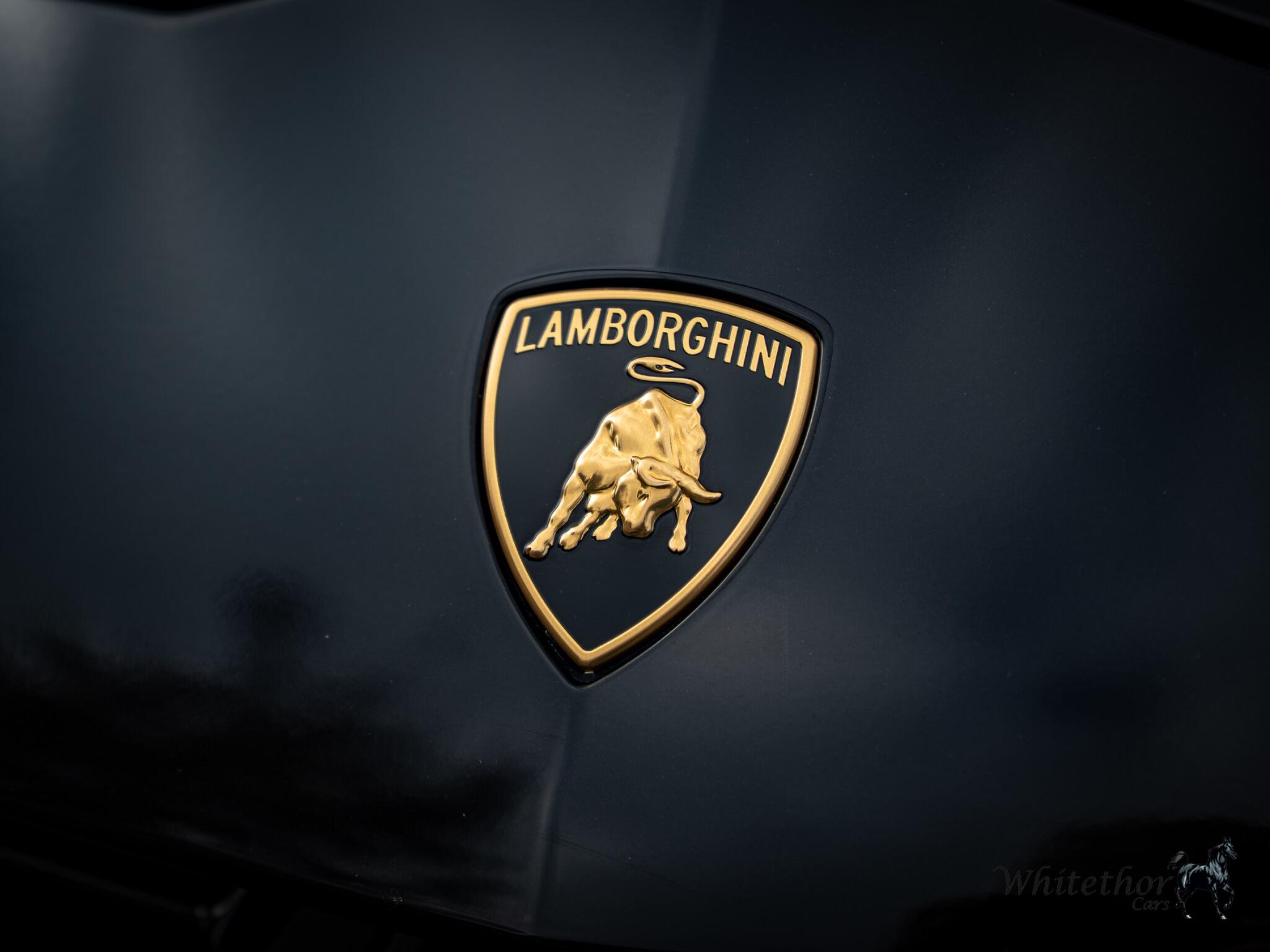 Lamborghini Urus view 23