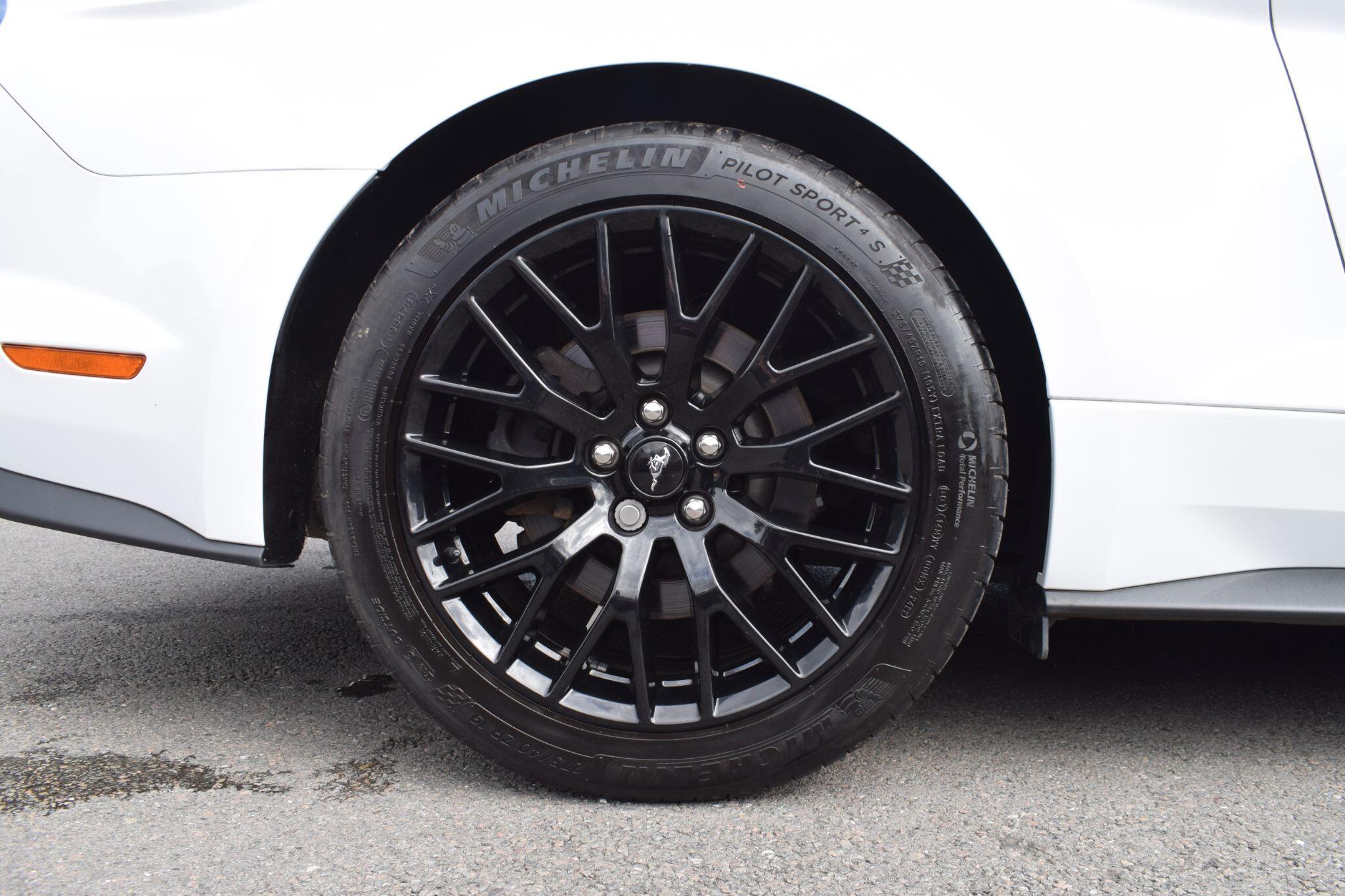 Ford Mustang view 47