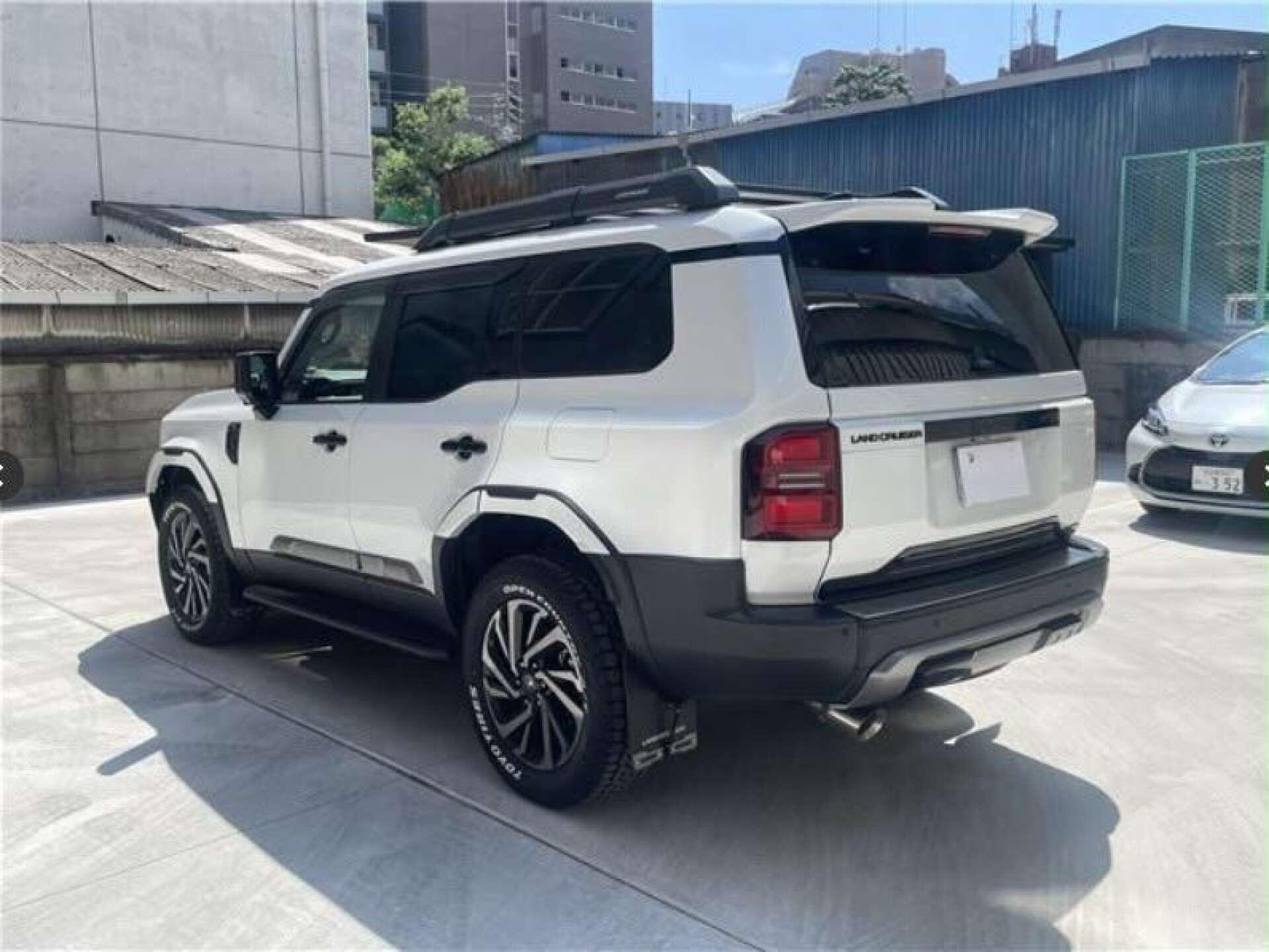 Toyota Land Cruiser view 11