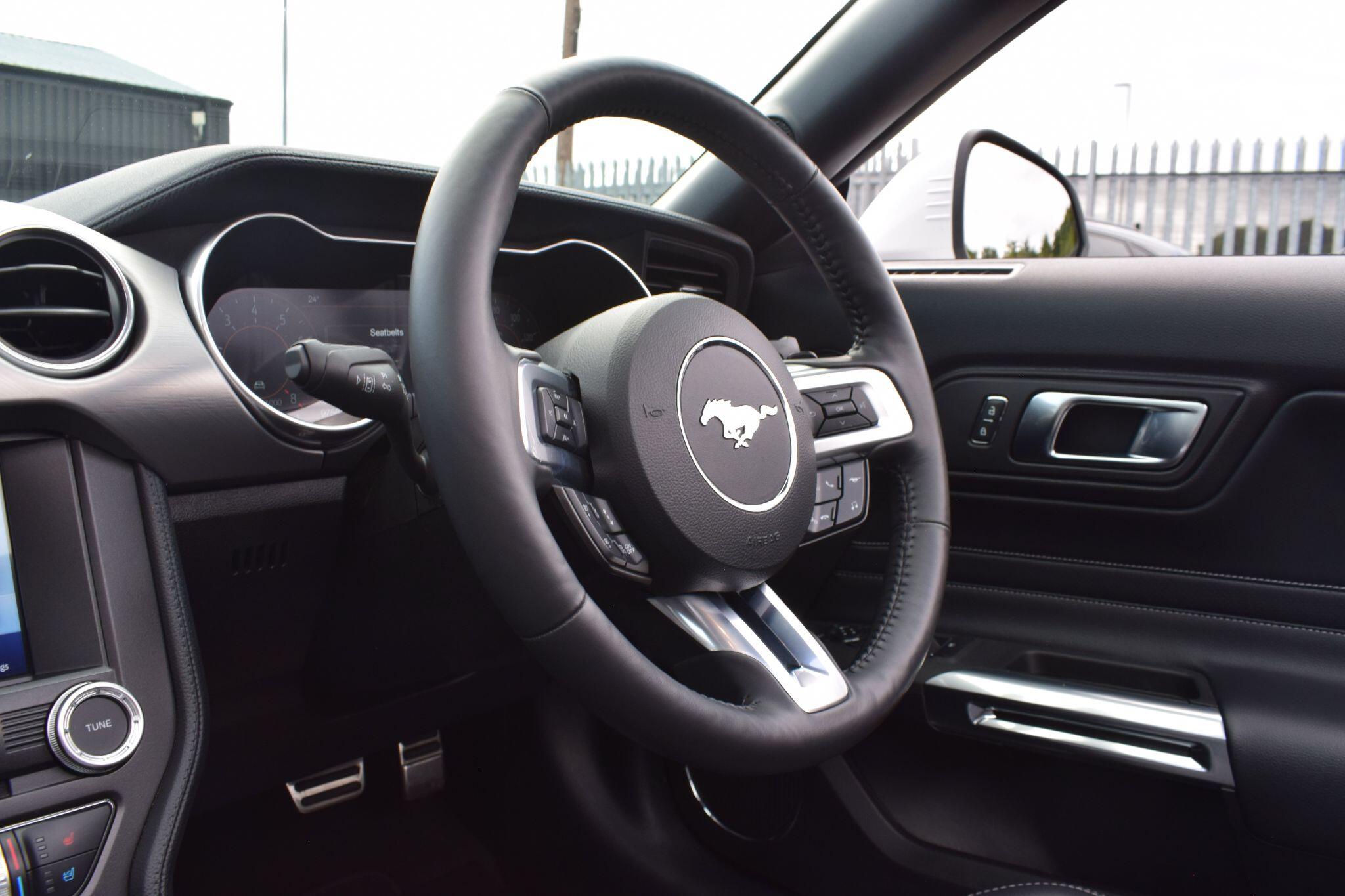 Ford Mustang view 22