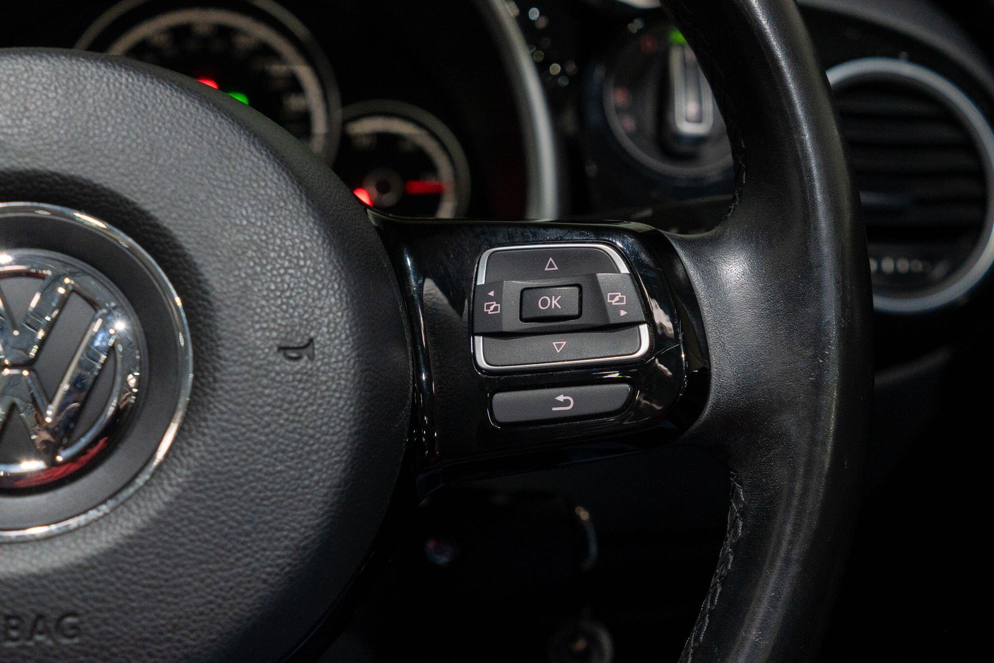 Volkswagen Beetle view 24